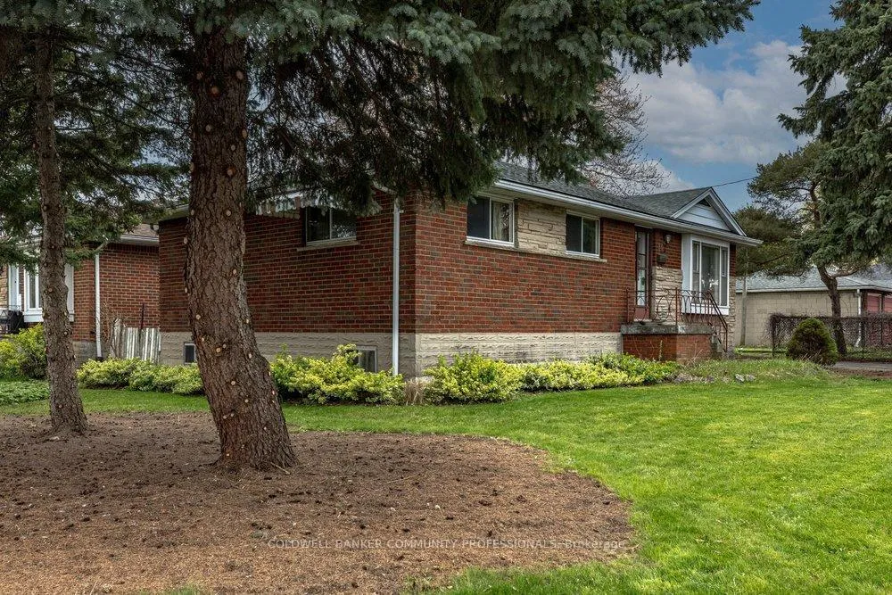 Photo 44 of 14 Callie Road, Hamilton, Hill Park — HOMEH