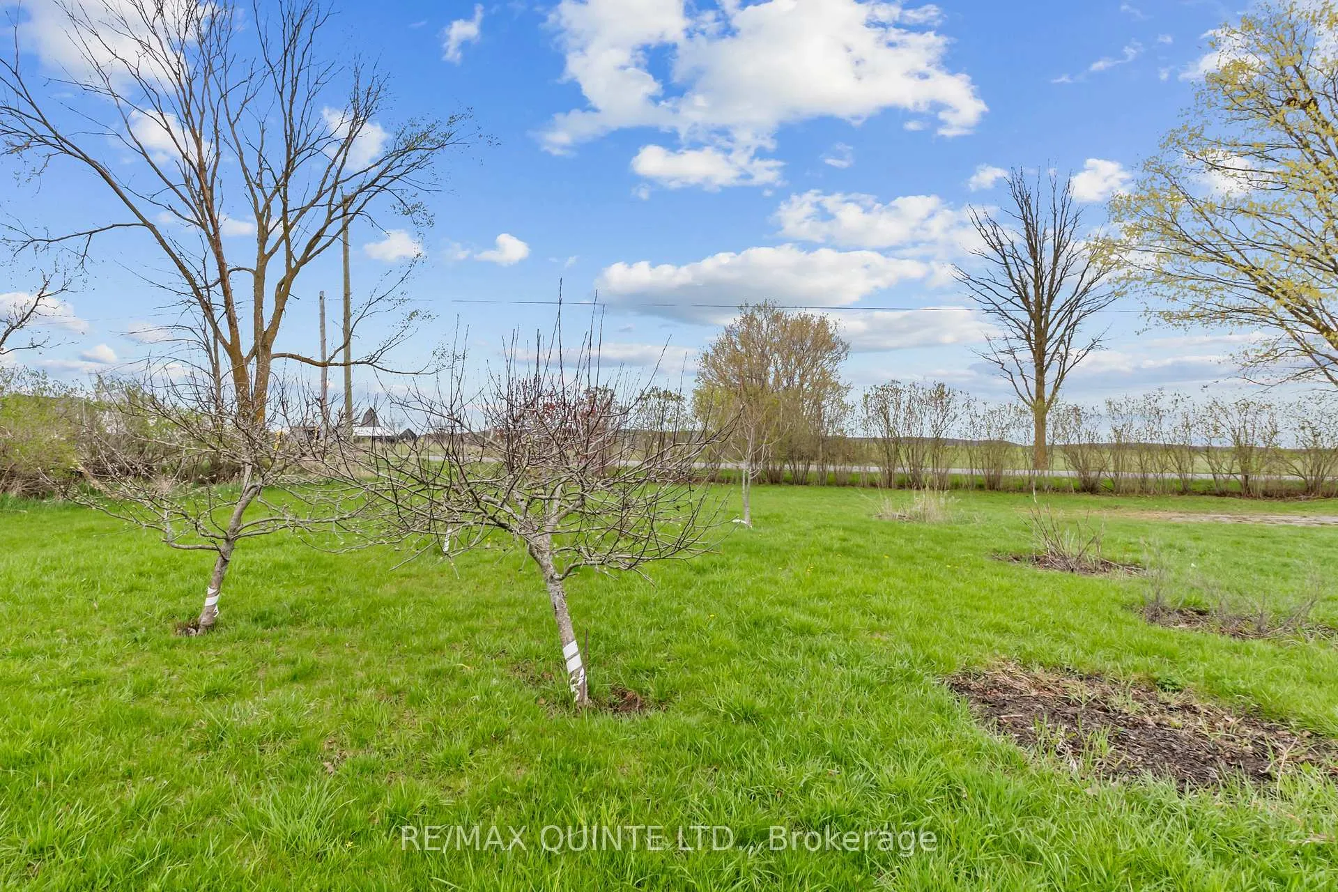 Photo 13 of 912 Carmel Road, Stirling-Rawdon, Rawdon Ward — HOMEH