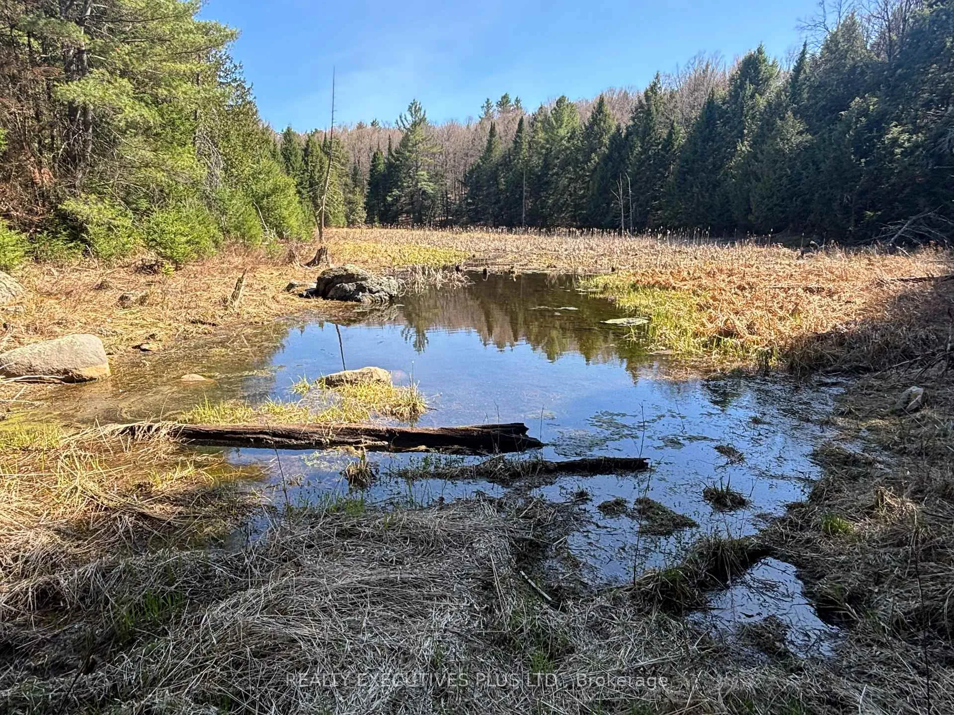 Photo 4 of 00 Dalhousie 4TH Conc B Road, Lanark Highlands, Lanark Highlands (Dalhousie) Twp — HOMEH