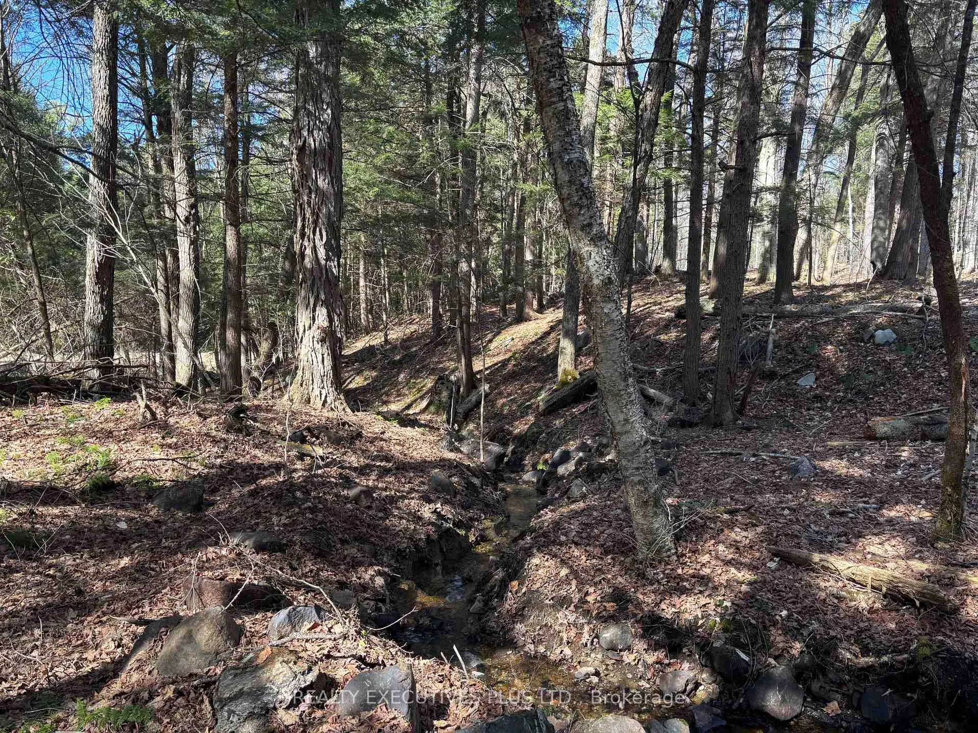 Photo 5 of 00 Dalhousie 4TH Conc B Road, Lanark Highlands, Lanark Highlands (Dalhousie) Twp — HOMEH