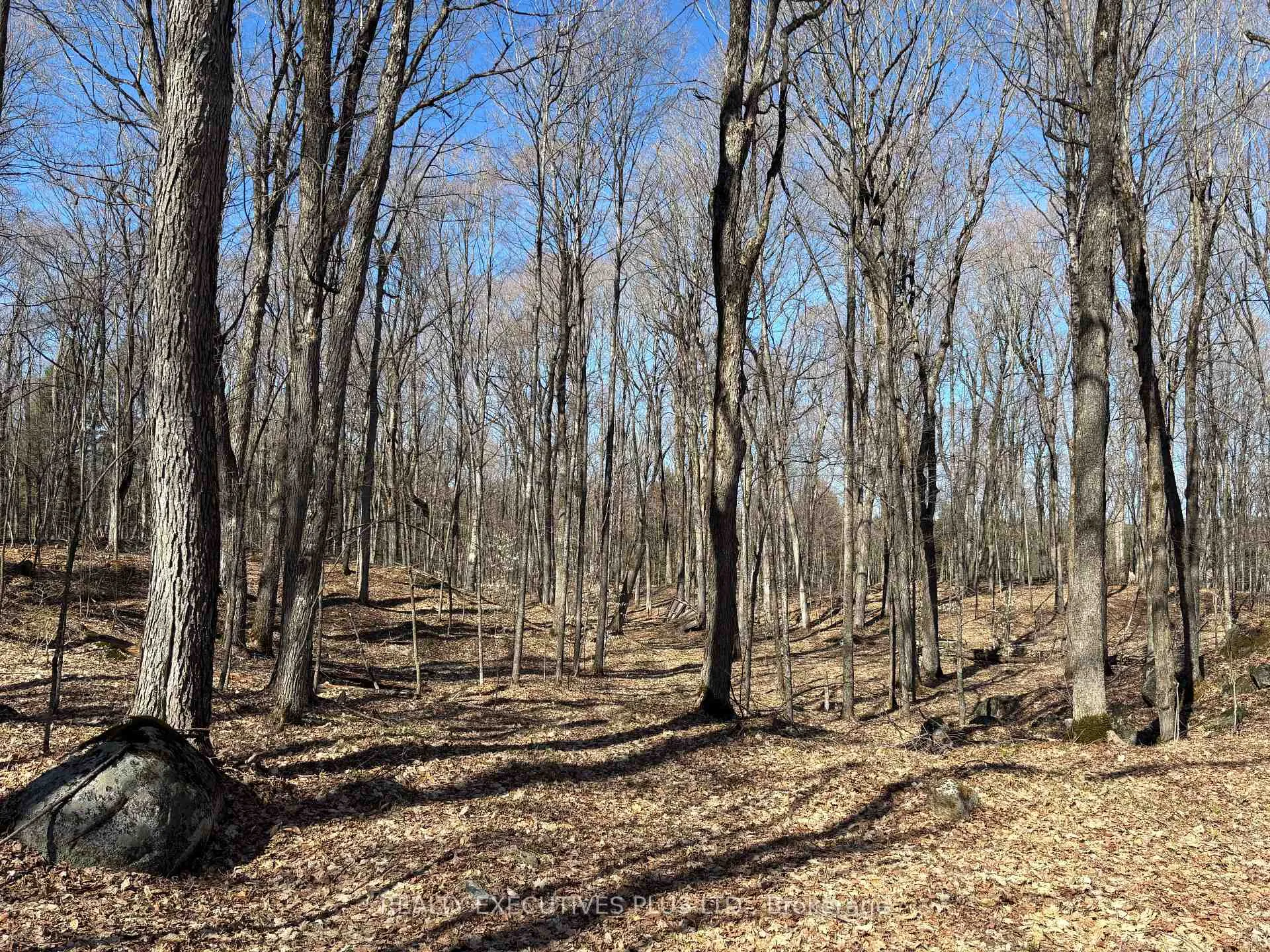 Photo 6 of 00 Dalhousie 4TH Conc B Road, Lanark Highlands, Lanark Highlands (Dalhousie) Twp — HOMEH