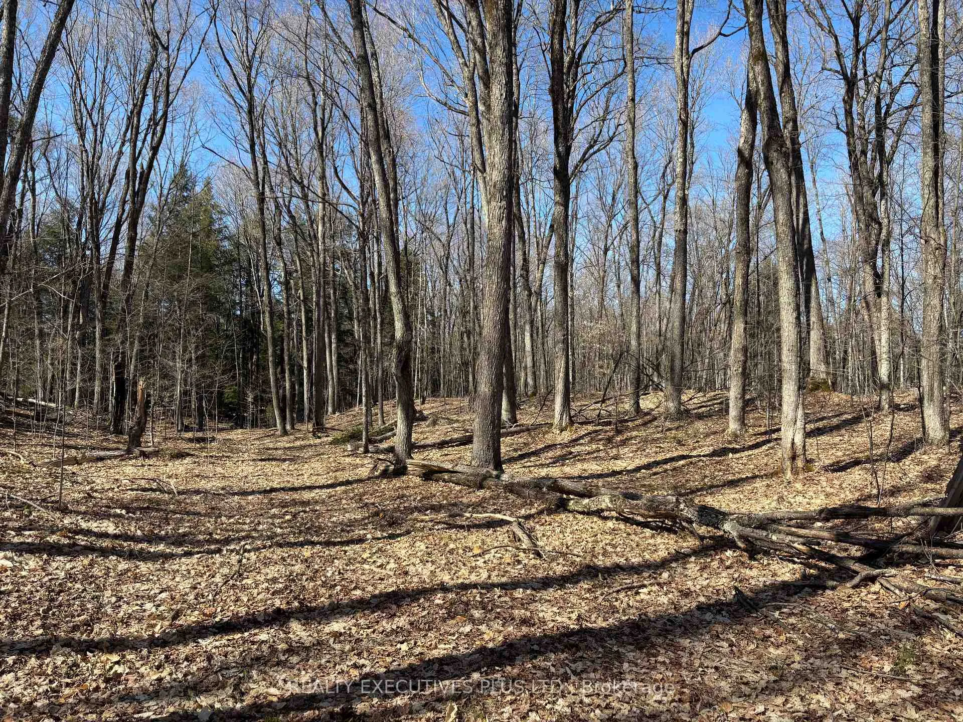Photo 8 of 00 Dalhousie 4TH Conc B Road, Lanark Highlands, Lanark Highlands (Dalhousie) Twp — HOMEH