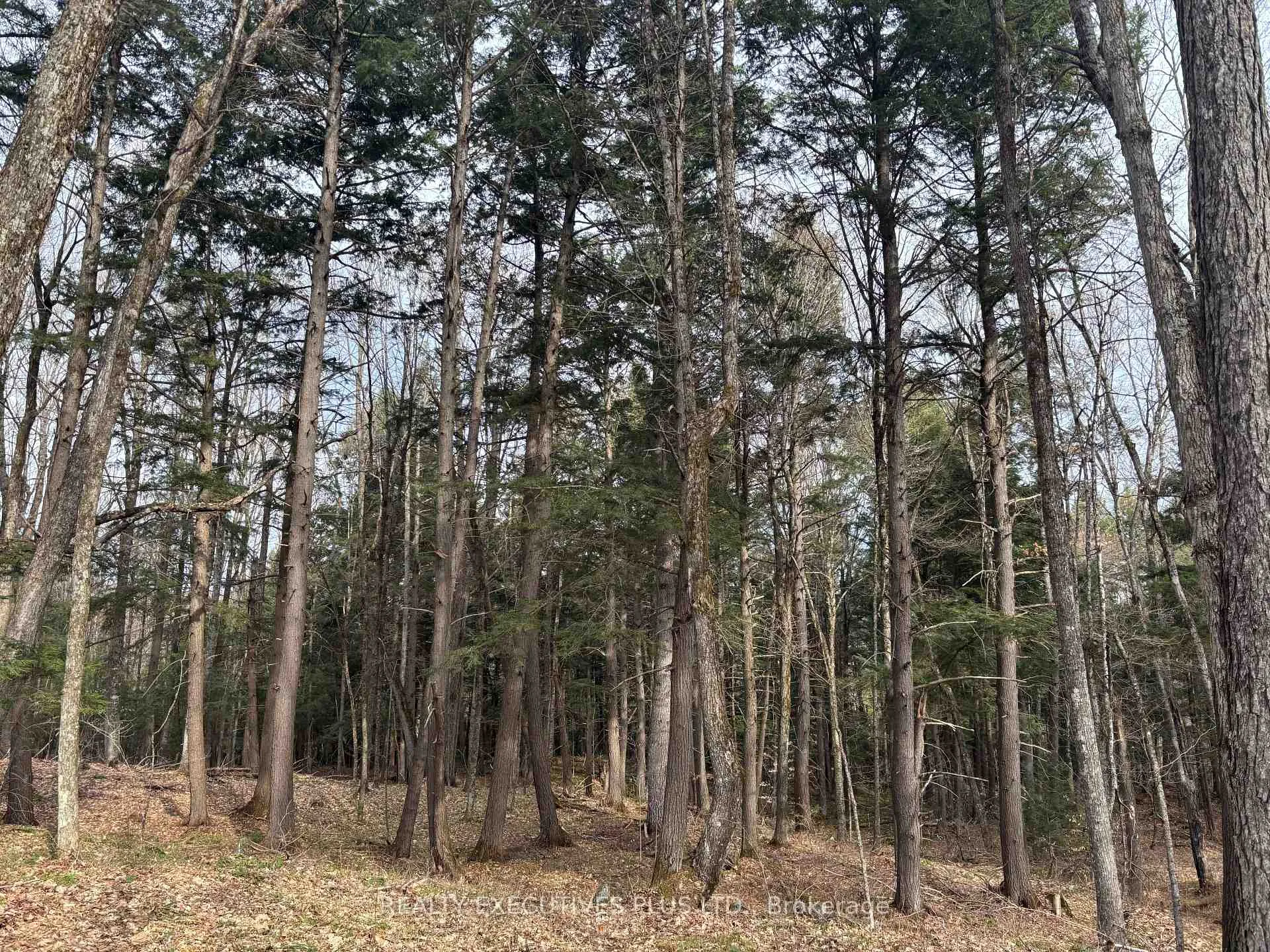 Photo 9 of 00 Dalhousie 4TH Conc B Road, Lanark Highlands, Lanark Highlands (Dalhousie) Twp — HOMEH