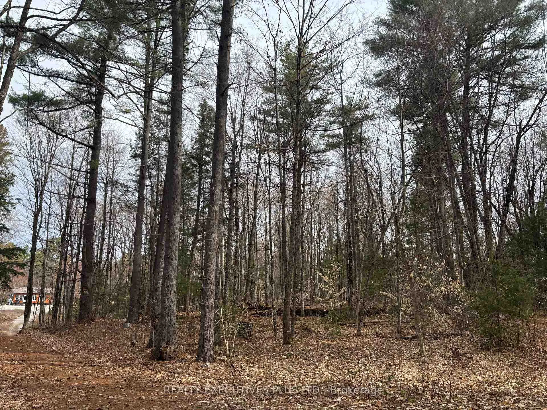 Photo 10 of 00 Dalhousie 4TH Conc B Road, Lanark Highlands, Lanark Highlands (Dalhousie) Twp — HOMEH