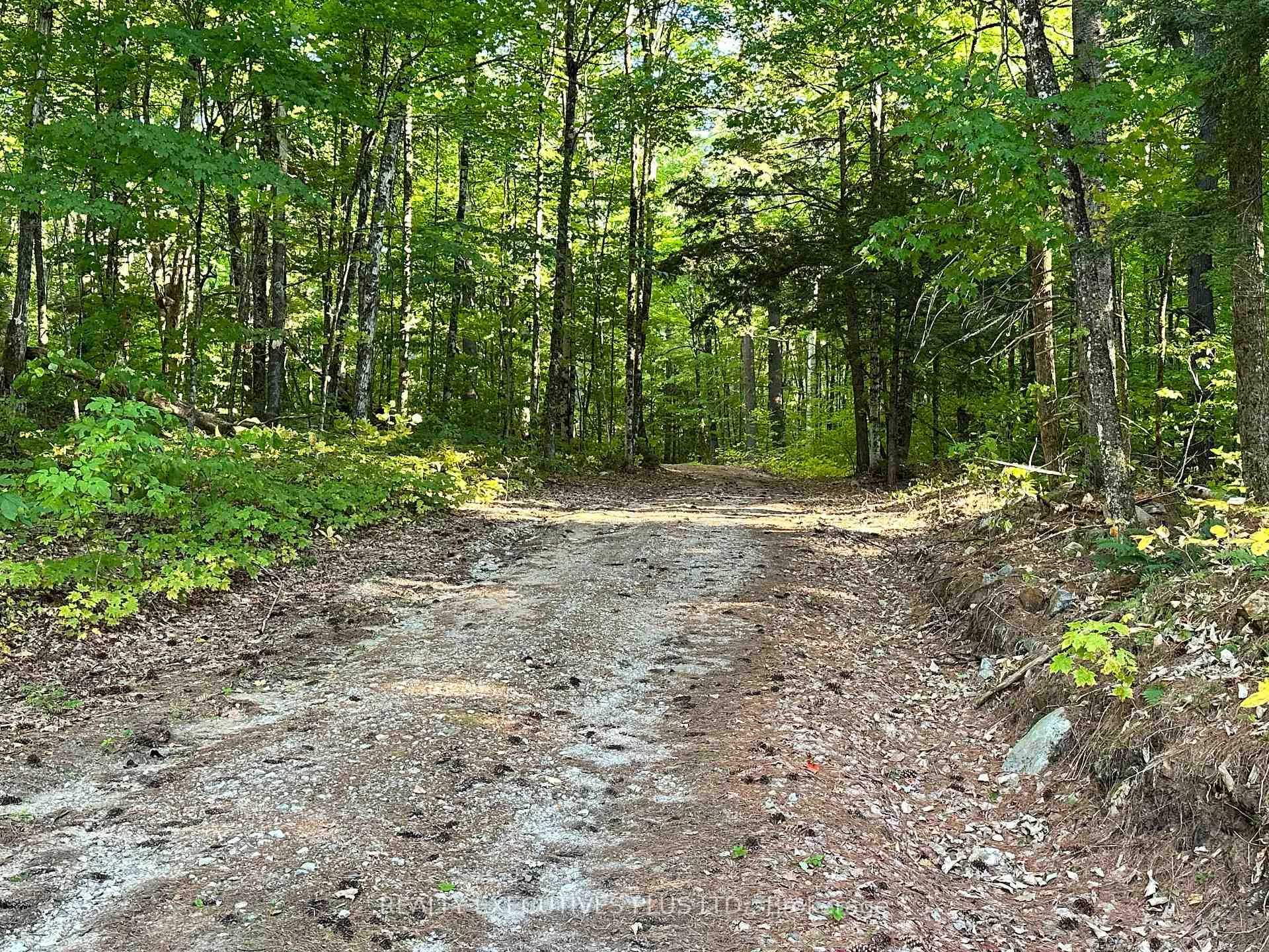 Photo 36 of 00 Dalhousie 4TH Conc B Road, Lanark Highlands, Lanark Highlands (Dalhousie) Twp — HOMEH