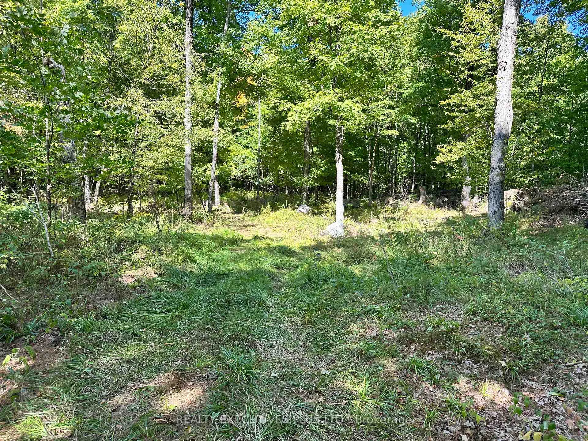 Photo 37 of 00 Dalhousie 4TH Conc B Road, Lanark Highlands, Lanark Highlands (Dalhousie) Twp — HOMEH