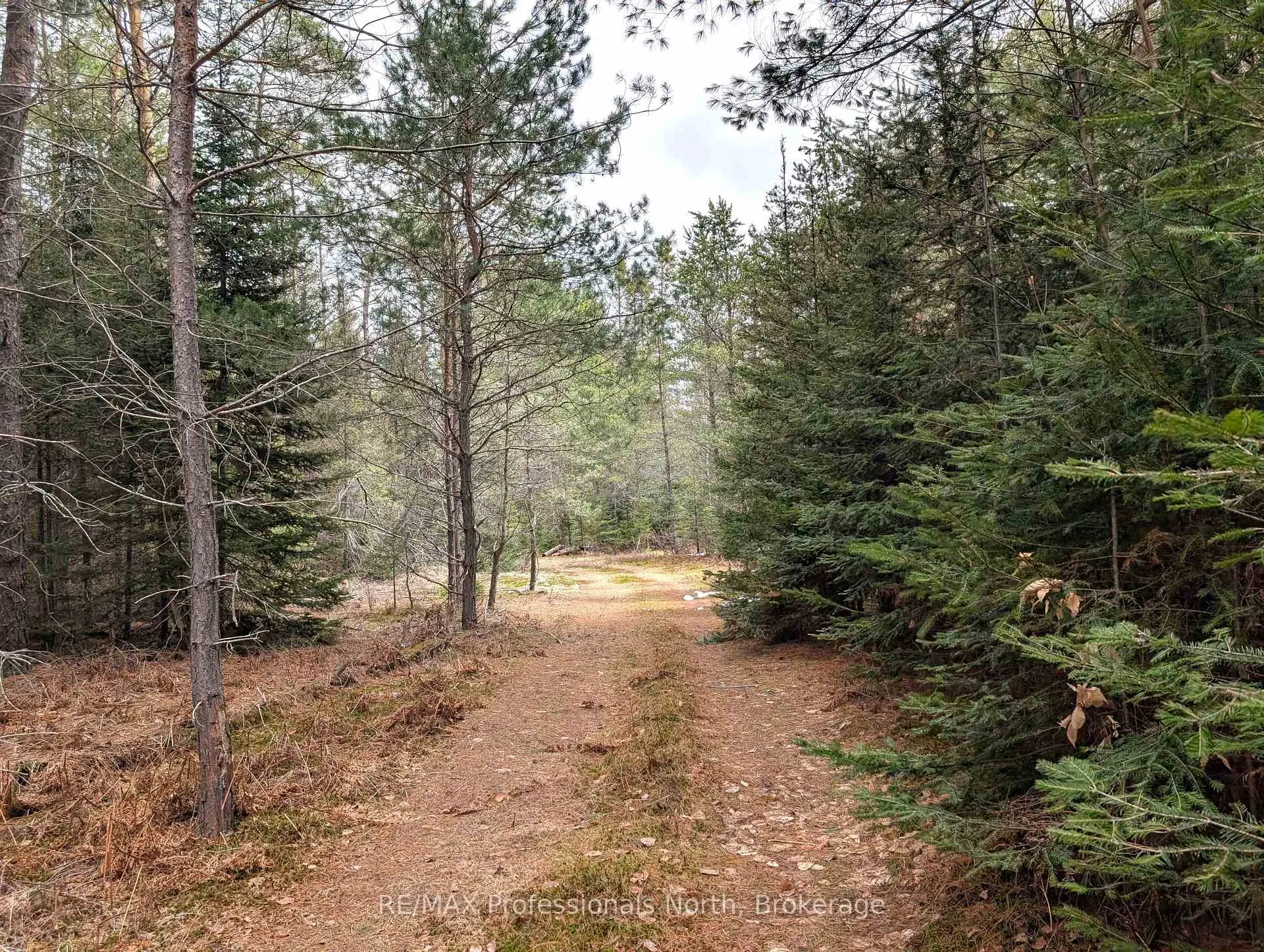 Photo 5 of Peacock Road, Joly — HOMEH
