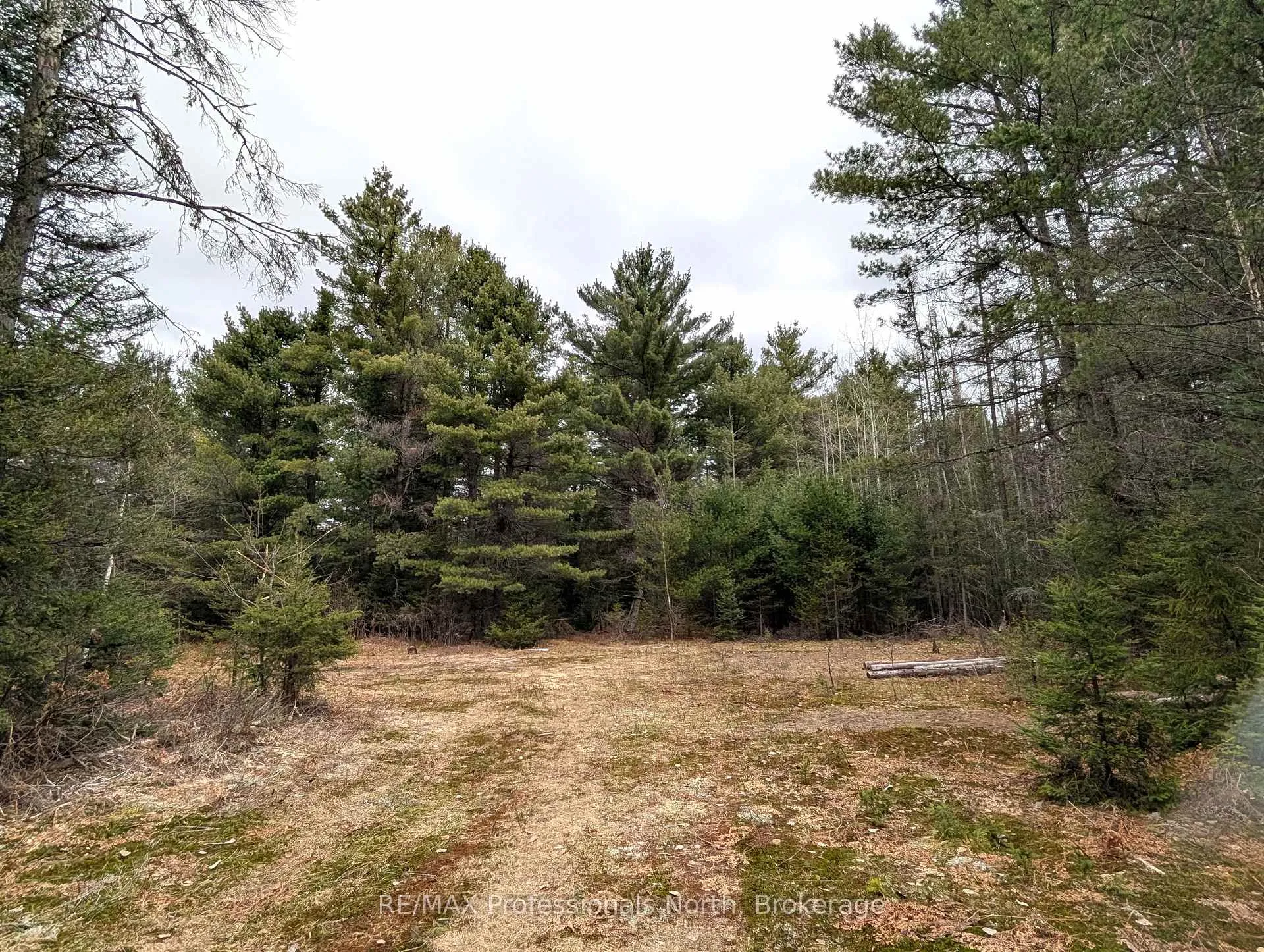 Photo 6 of Peacock Road, Joly — HOMEH