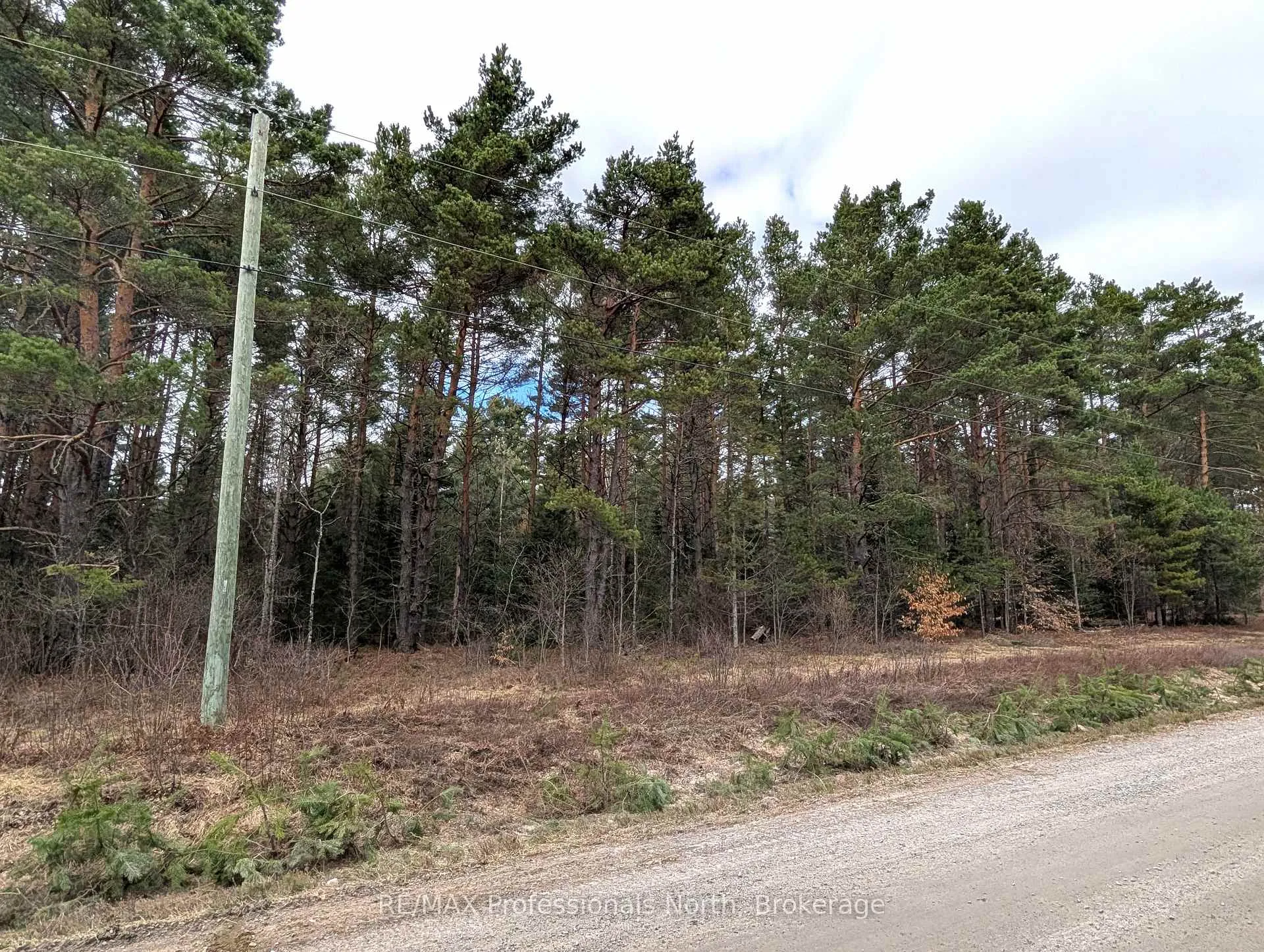 Photo 8 of Peacock Road, Joly — HOMEH