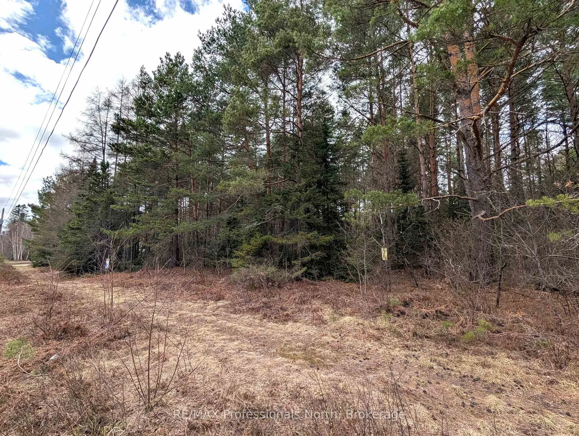 Photo 10 of Peacock Road, Joly — HOMEH