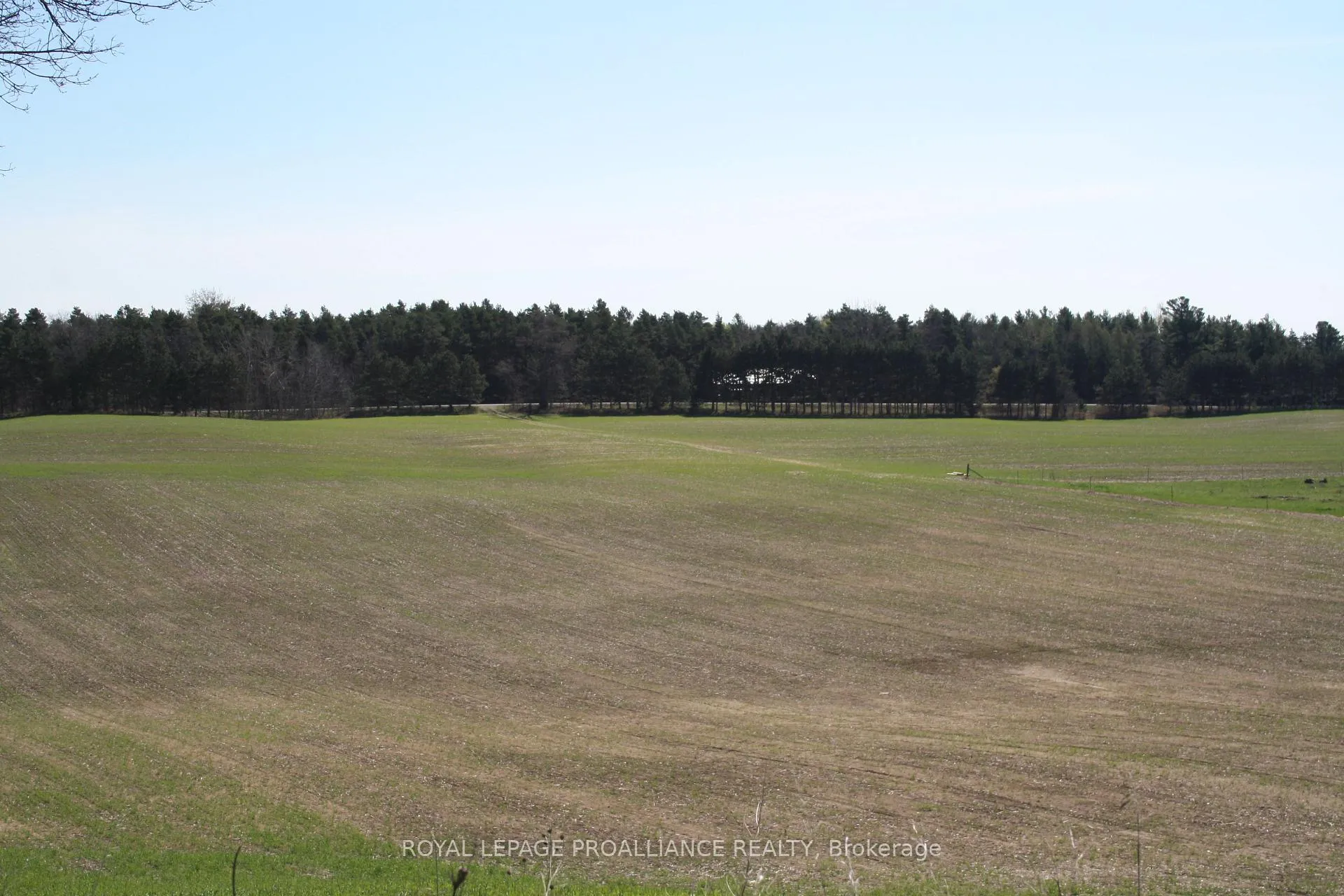 Photo 17 of 00 Riley Road, Cramahe, Castleton — HOMEH