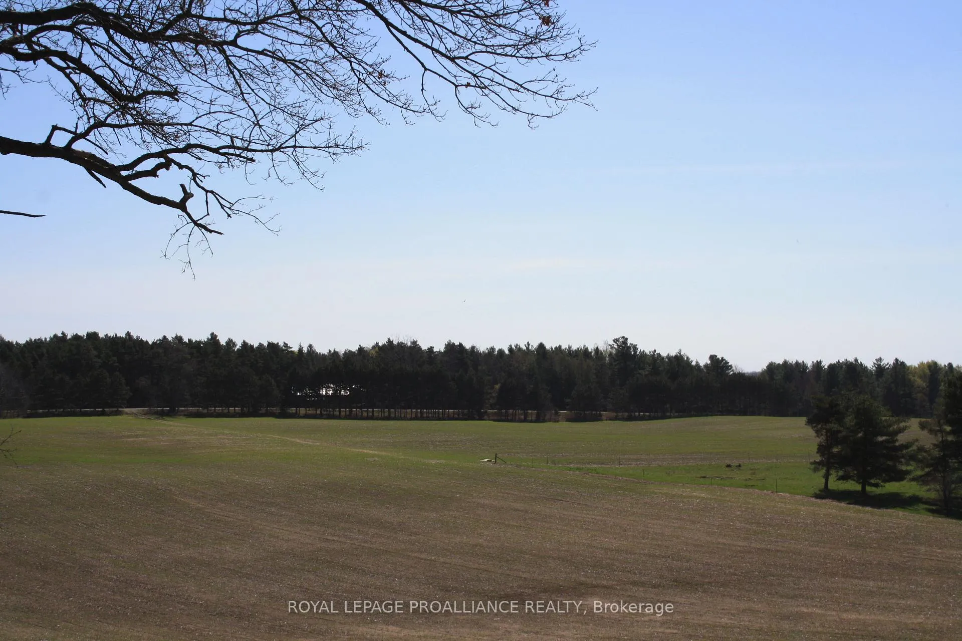 Photo 18 of 00 Riley Road, Cramahe, Castleton — HOMEH