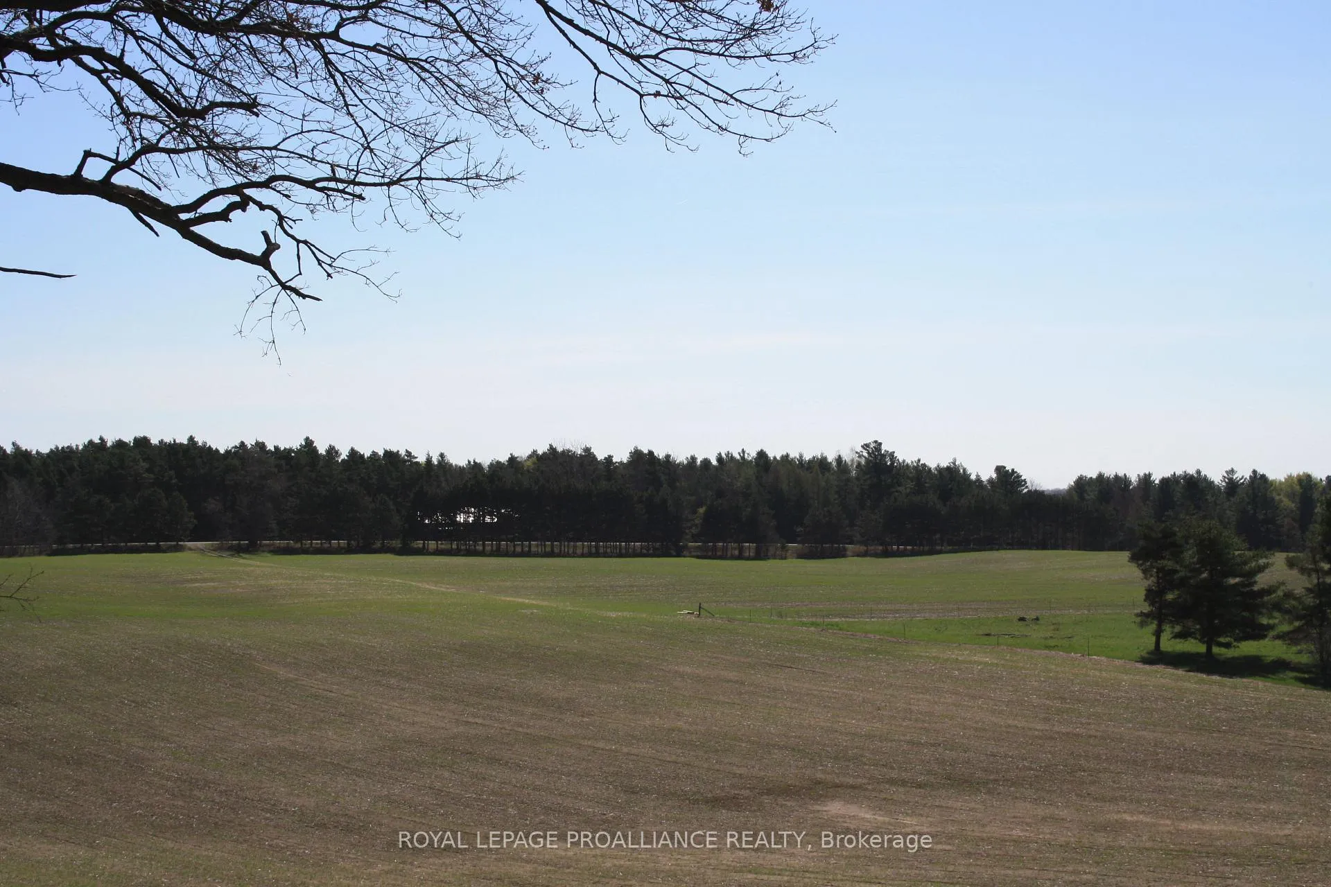Photo 19 of 00 Riley Road, Cramahe, Castleton — HOMEH
