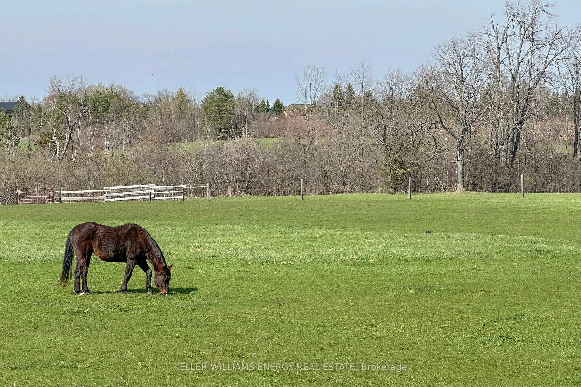 Photo 43 of 325 Zion Line, Cavan Monaghan, Cavan Twp — HOMEH