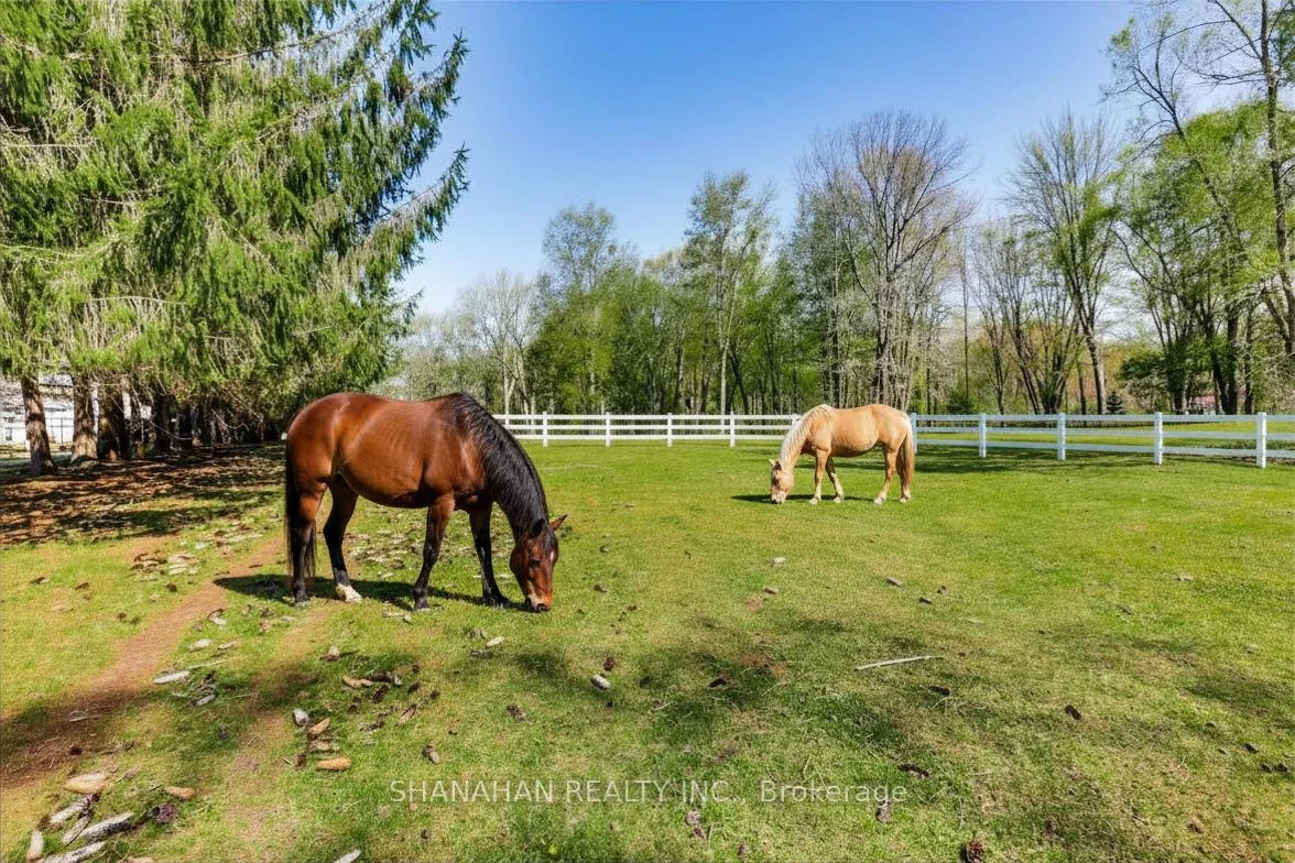 Photo 54 of 612 Trillium Drive, Southwest Middlesex, Rural Southwest Middlesex — HOMEH