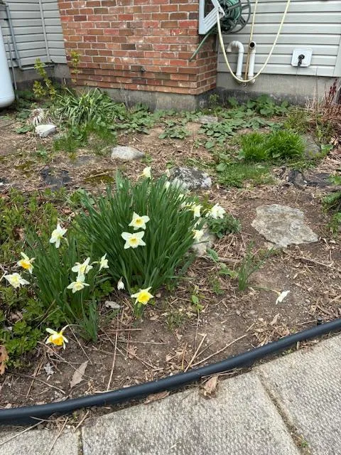 Photo 12 of 51 B Jericho Road, Prince Edward County, Sophiasburg Ward — HOMEH