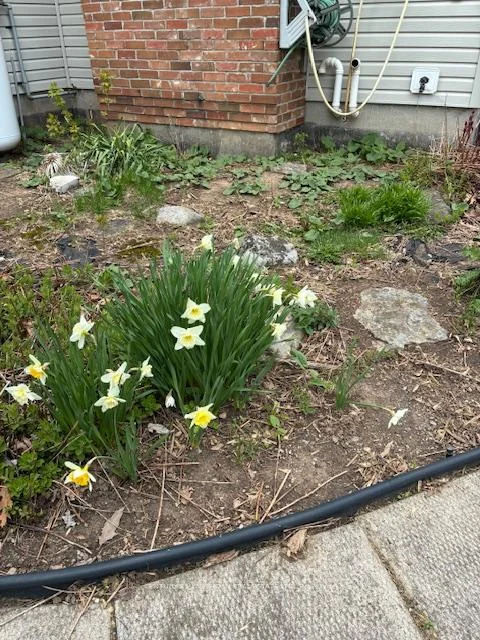 Photo 11 of 51 B Jericho Road, Prince Edward County, Sophiasburg Ward — HOMEH