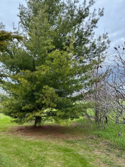 Photo 36 of 51 B Jericho Road, Prince Edward County, Sophiasburg Ward — HOMEH