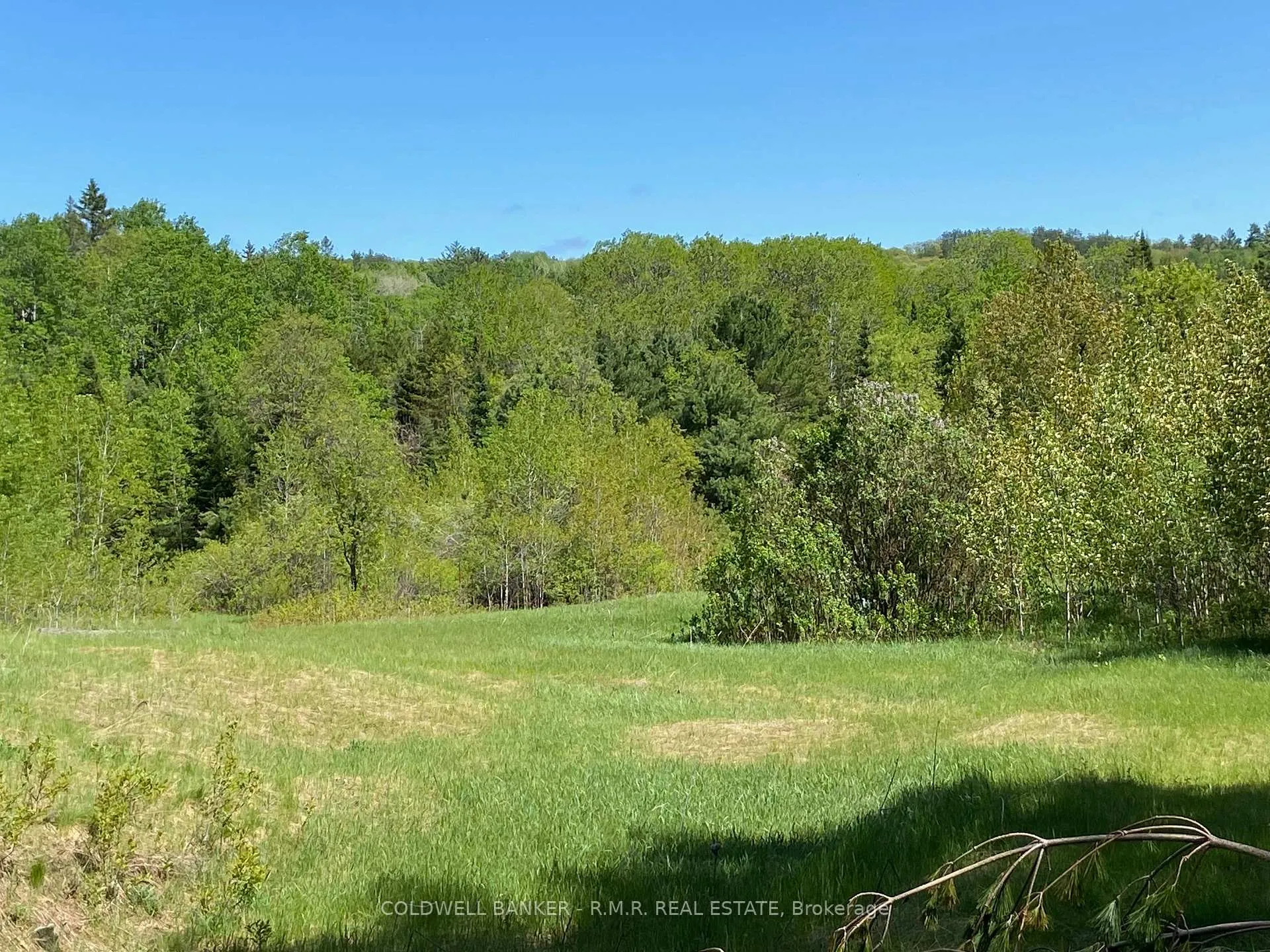Photo 3 of 1274 Holland Lake Road, Bancroft, Dungannon Ward — HOMEH