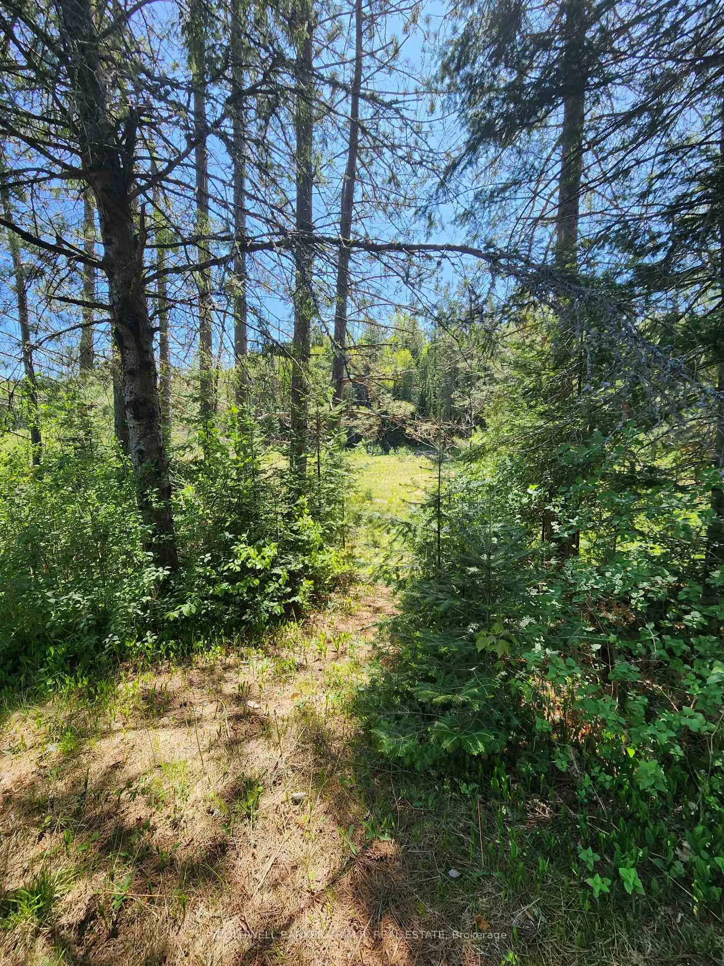 Photo 6 of 1274 Holland Lake Road, Bancroft, Dungannon Ward — HOMEH