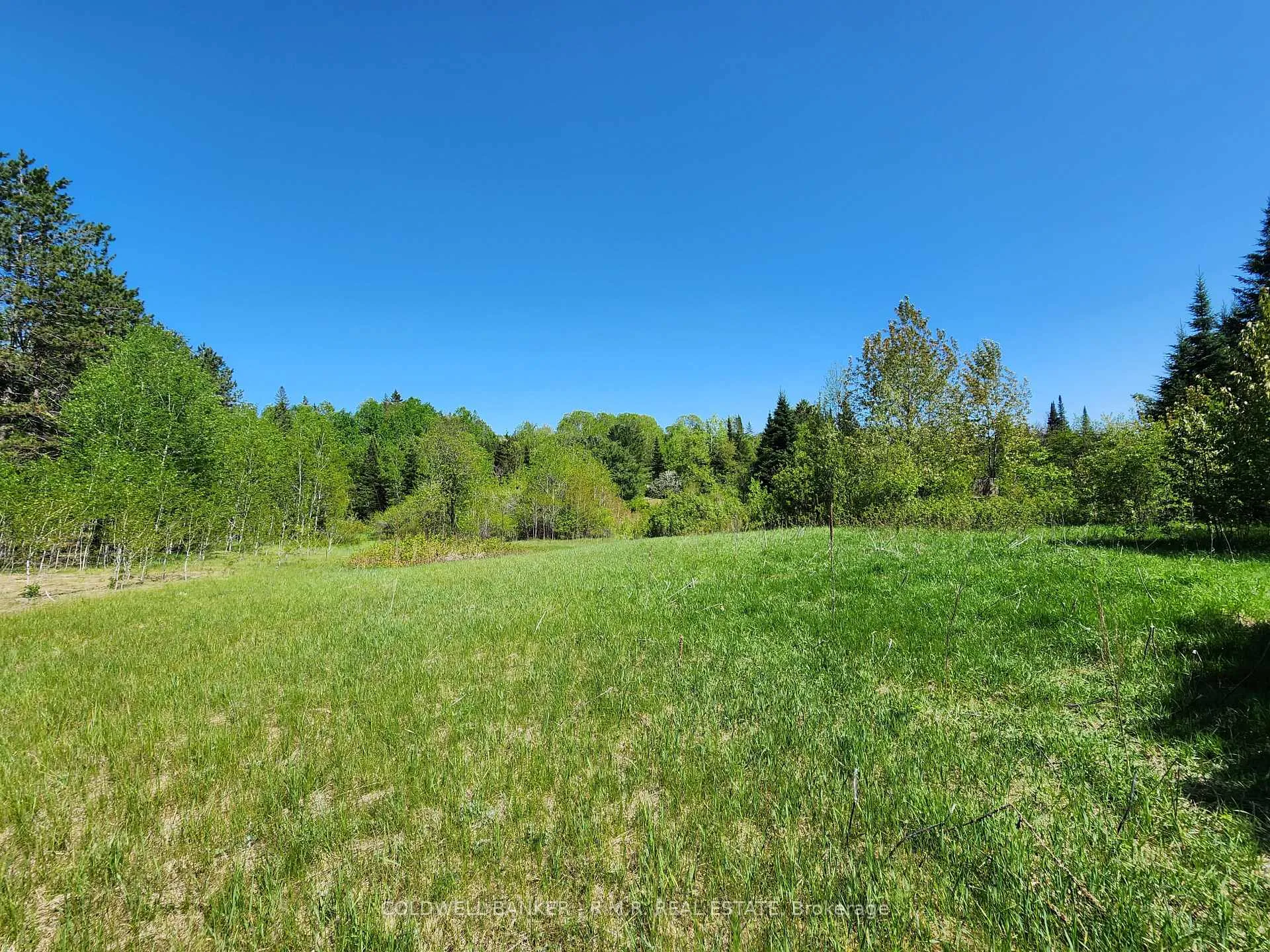 Photo 21 of 1274 Holland Lake Road, Bancroft, Dungannon Ward — HOMEH