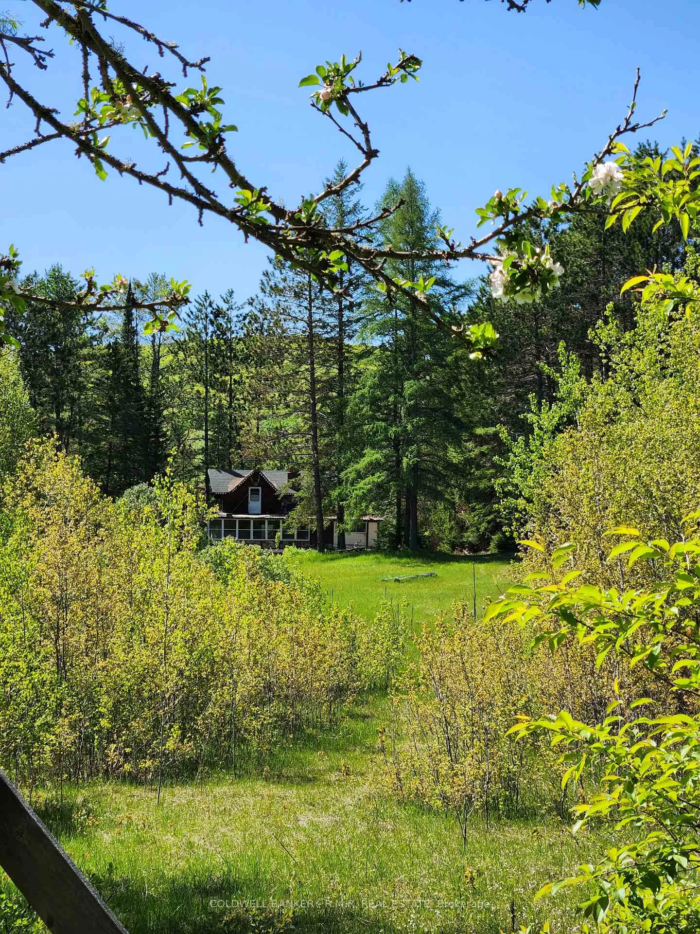 Photo 23 of 1274 Holland Lake Road, Bancroft, Dungannon Ward — HOMEH