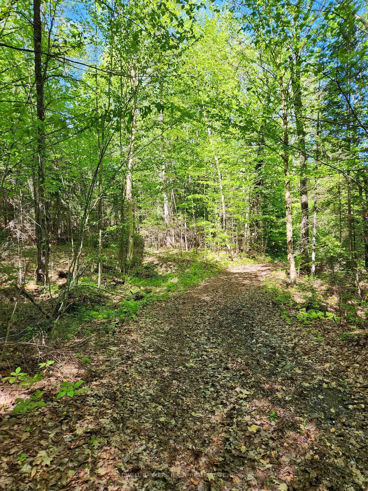 Photo 24 of 1274 Holland Lake Road, Bancroft, Dungannon Ward — HOMEH