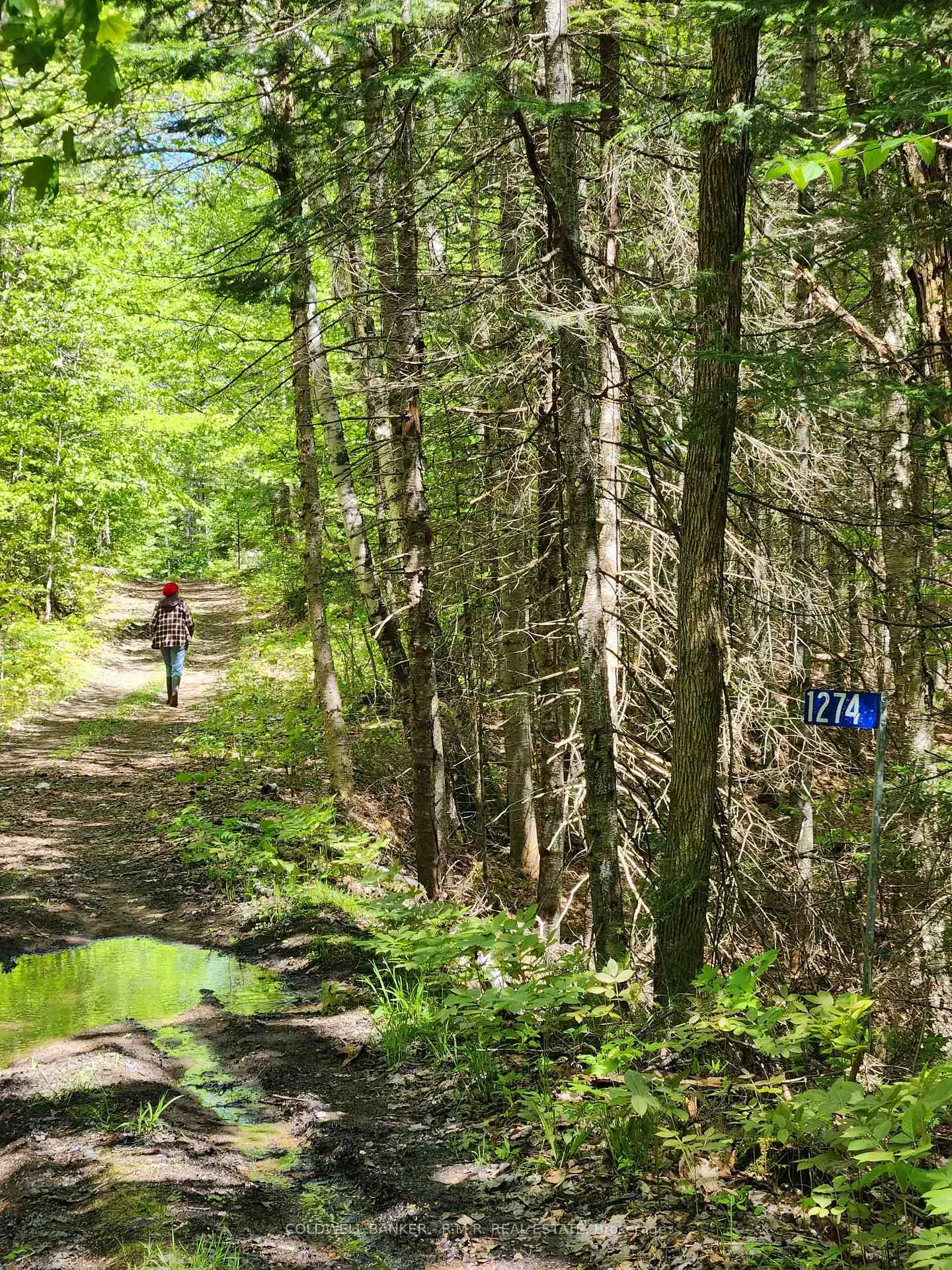 Photo 25 of 1274 Holland Lake Road, Bancroft, Dungannon Ward — HOMEH