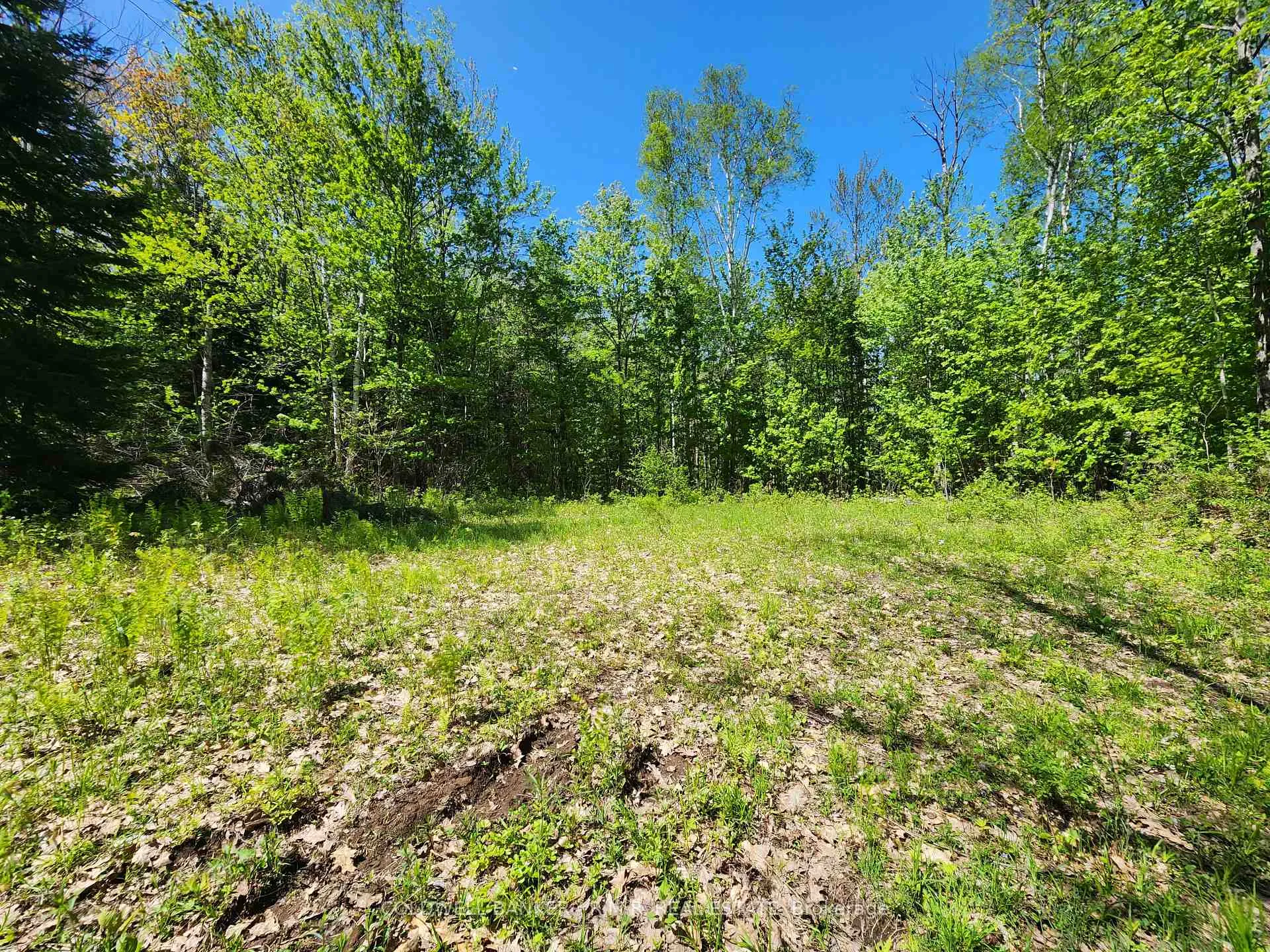 Photo 26 of 1274 Holland Lake Road, Bancroft, Dungannon Ward — HOMEH