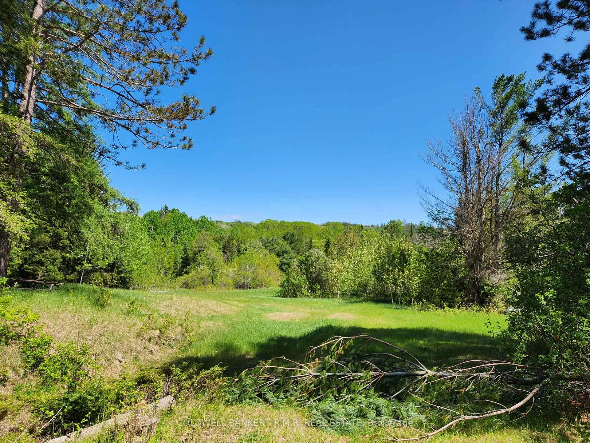 Photo 28 of 1274 Holland Lake Road, Bancroft, Dungannon Ward — HOMEH