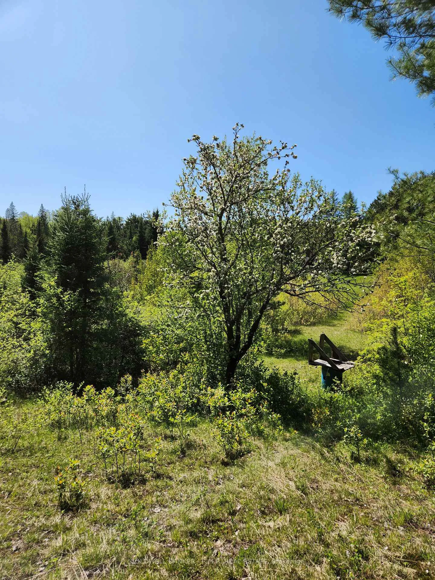 Photo 29 of 1274 Holland Lake Road, Bancroft, Dungannon Ward — HOMEH