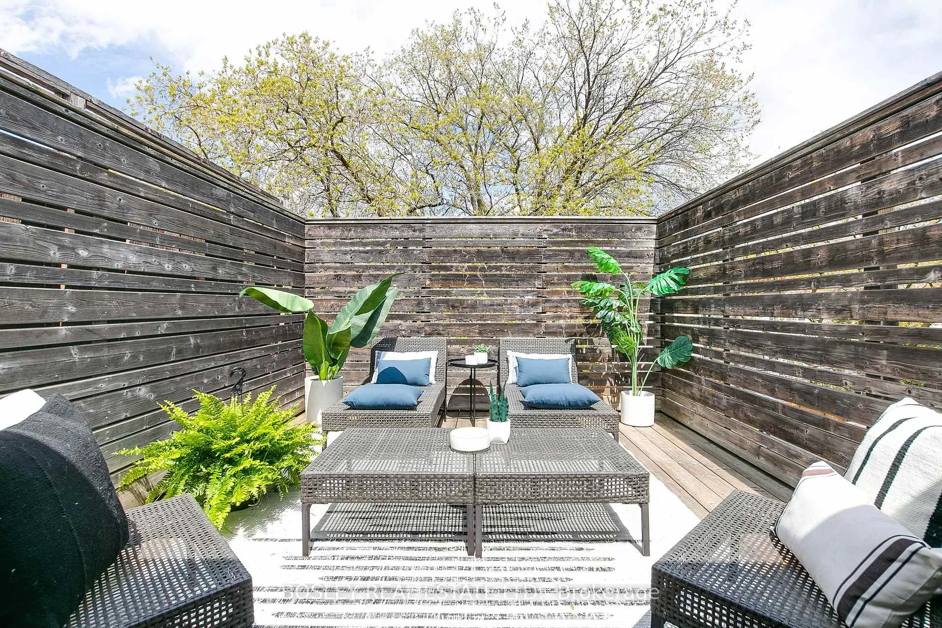Photo 22 of 42 Dingwall Avenue, Toronto, Blake-Jones — HOMEH