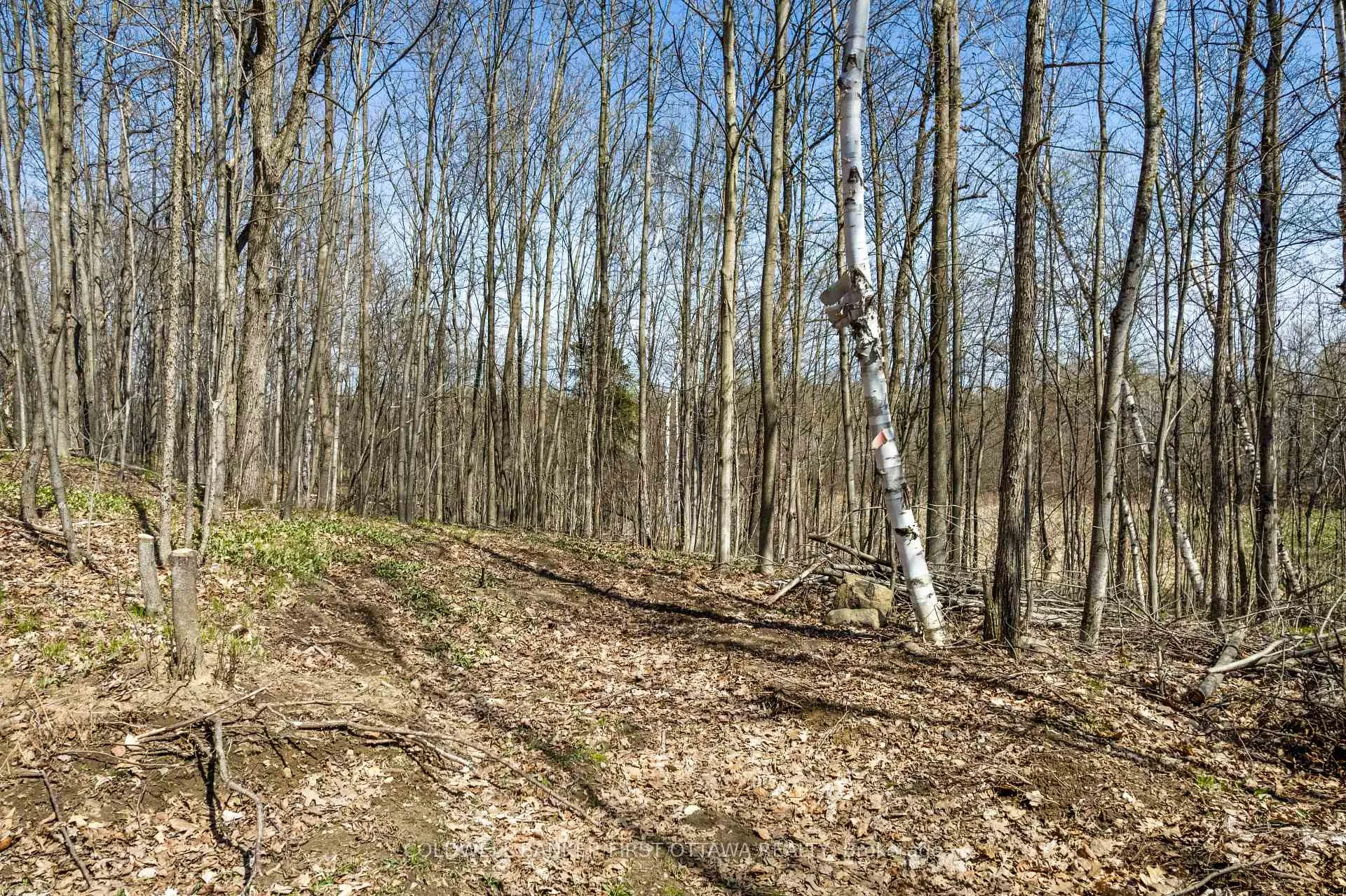 Photo 17 of 1089 Wagner Road, Frontenac, Frontenac Centre — HOMEH