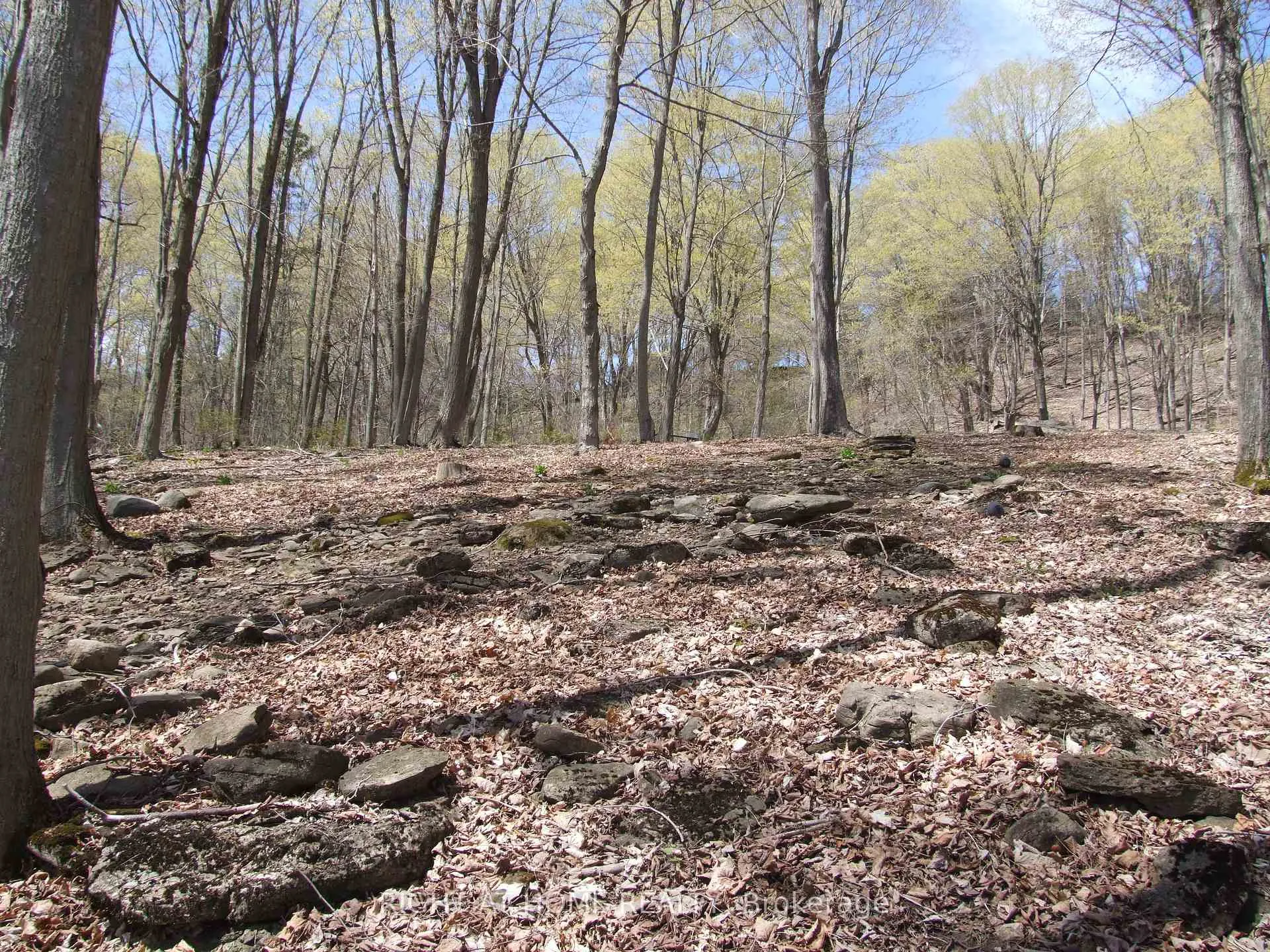 Photo 17 of Lot 5 McCarthy Lane, Prince Edward County, North Marysburg Ward — HOMEH