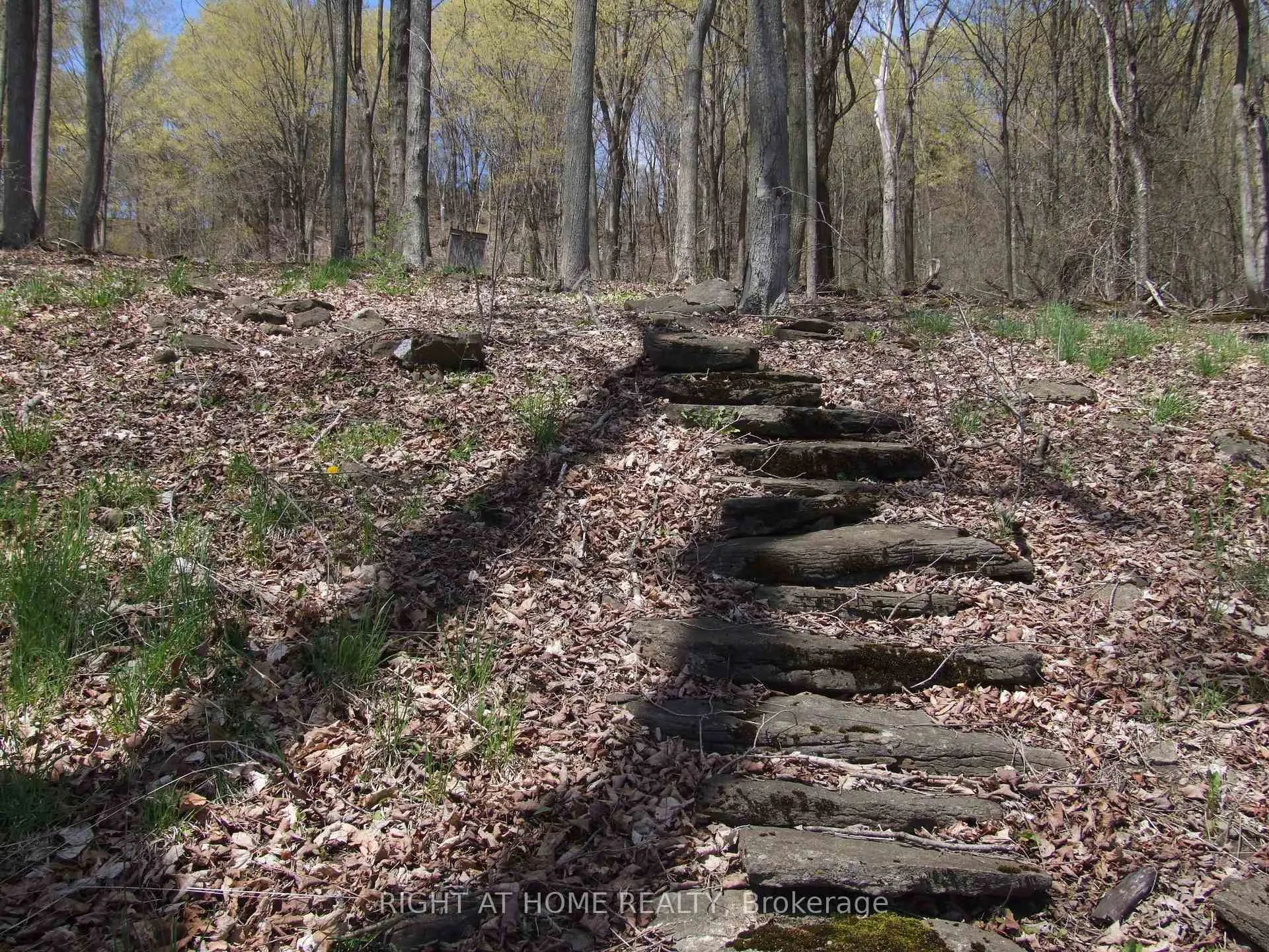 Photo 18 of Lot 5 McCarthy Lane, Prince Edward County, North Marysburg Ward — HOMEH