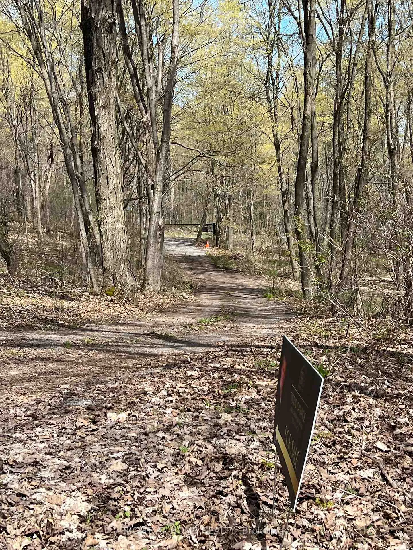 Photo 20 of Lot 5 McCarthy Lane, Prince Edward County, North Marysburg Ward — HOMEH
