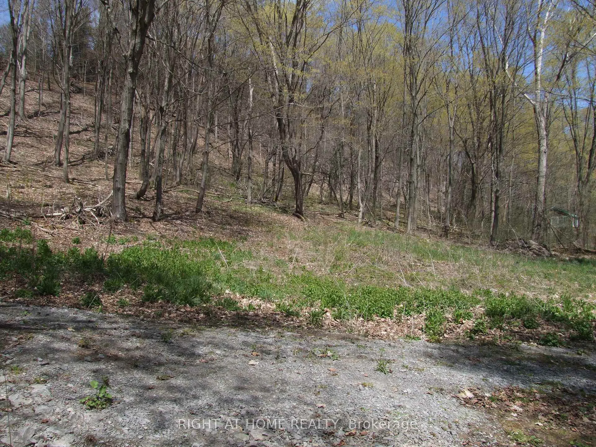 Photo 22 of Lot 5 McCarthy Lane, Prince Edward County, North Marysburg Ward — HOMEH