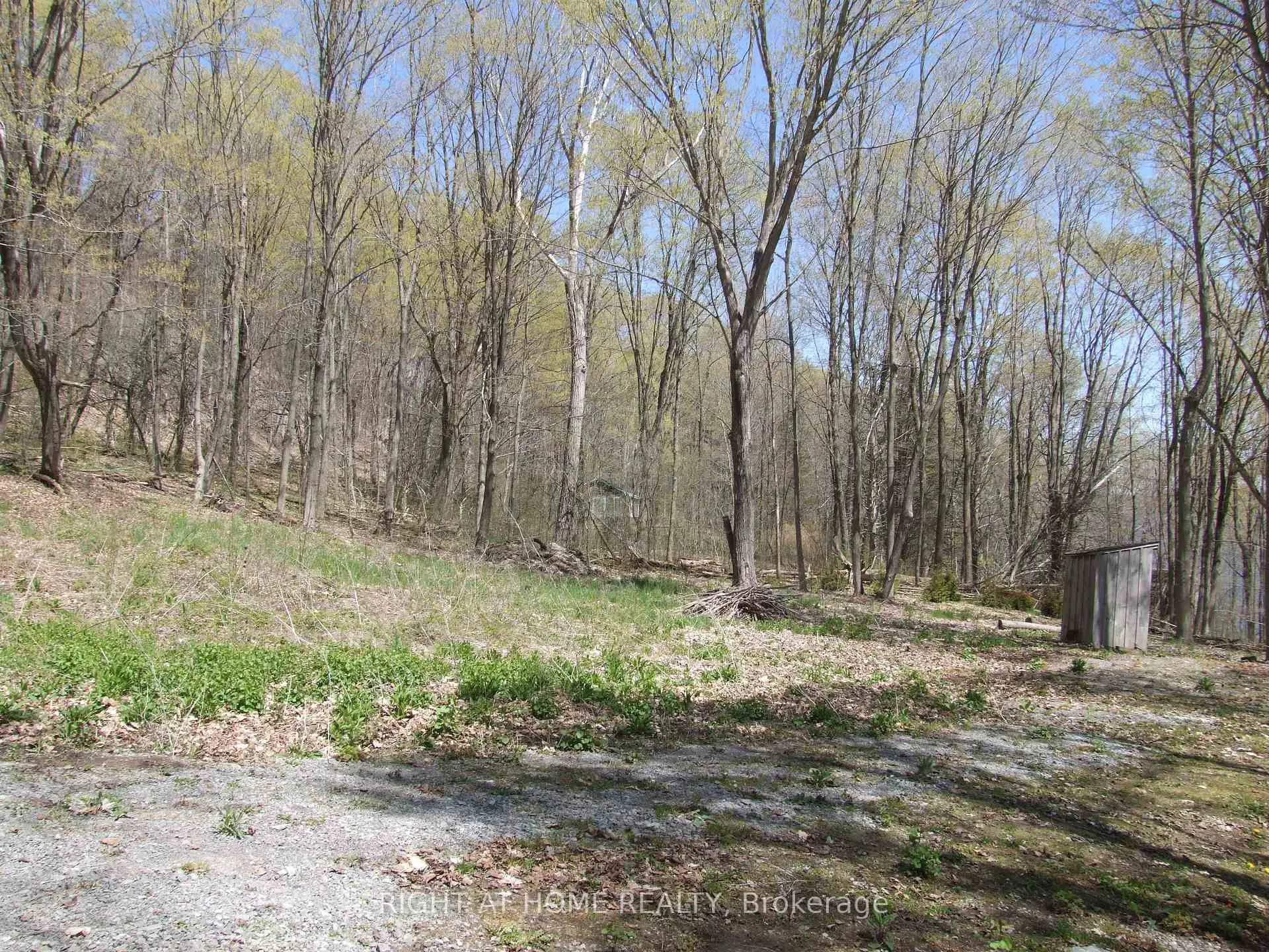Photo 23 of Lot 5 McCarthy Lane, Prince Edward County, North Marysburg Ward — HOMEH