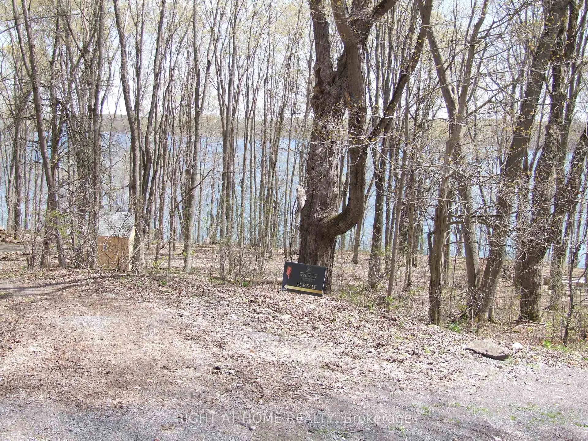 Photo 24 of Lot 5 McCarthy Lane, Prince Edward County, North Marysburg Ward — HOMEH