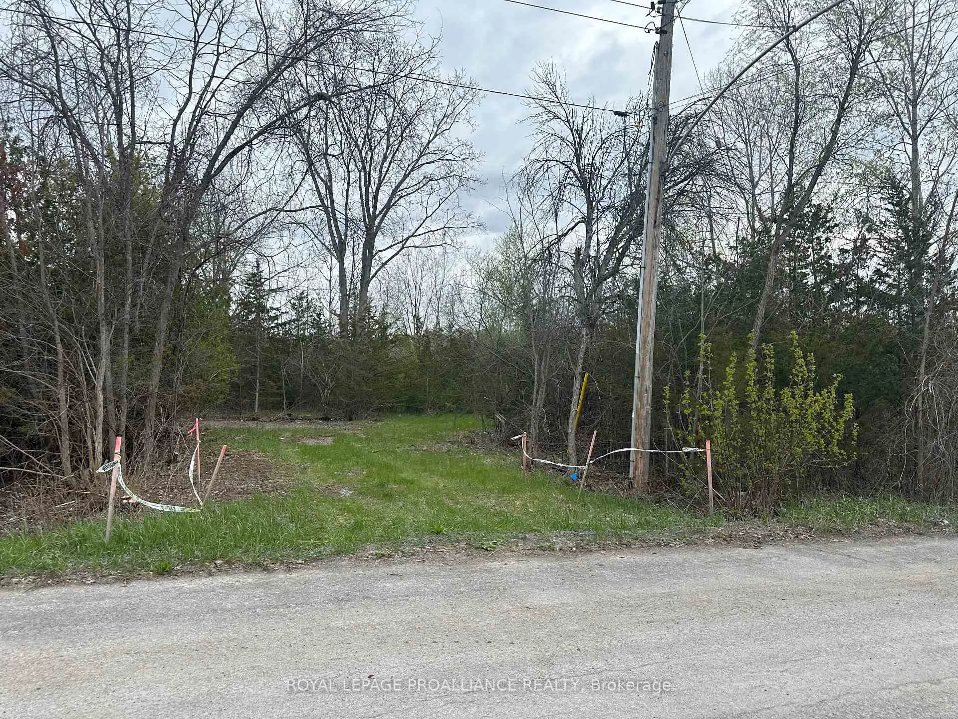 Photo of 0 Peterson Street