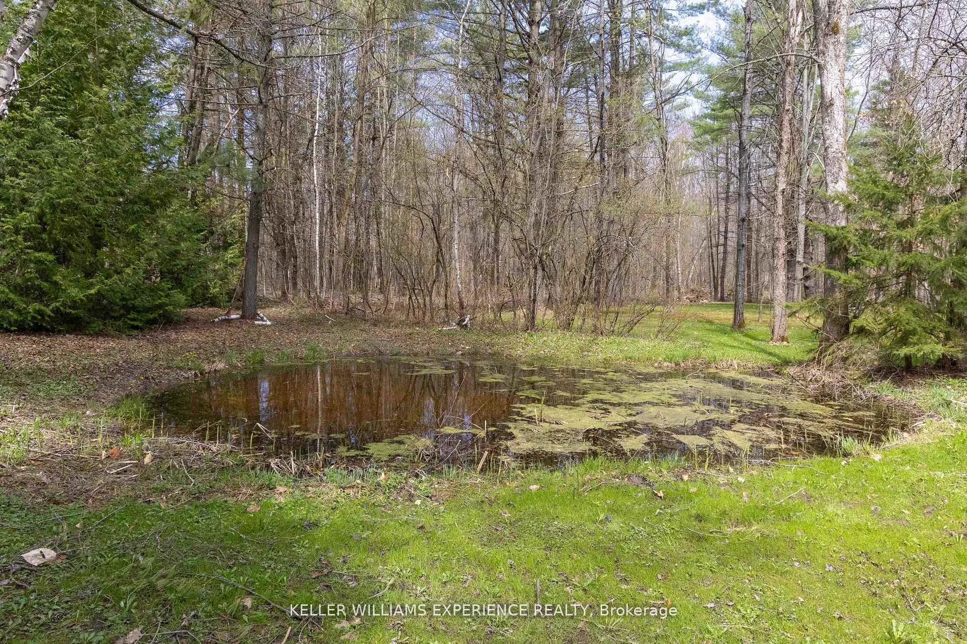 Photo 45 of 1936 Peninsula Point Road, Severn, Rural Severn — HOMEH