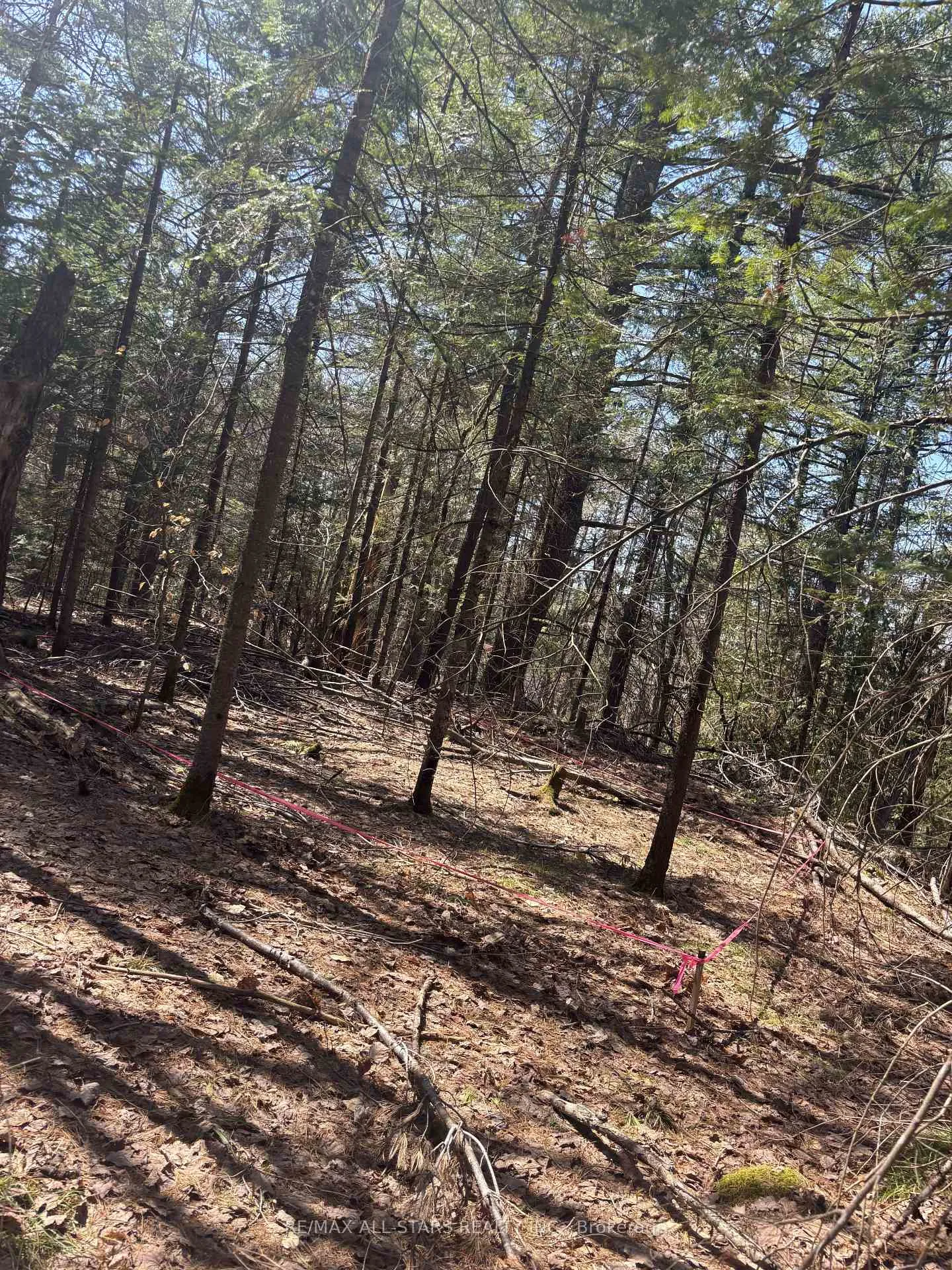 Photo of 0 Kirkpatrick Lane