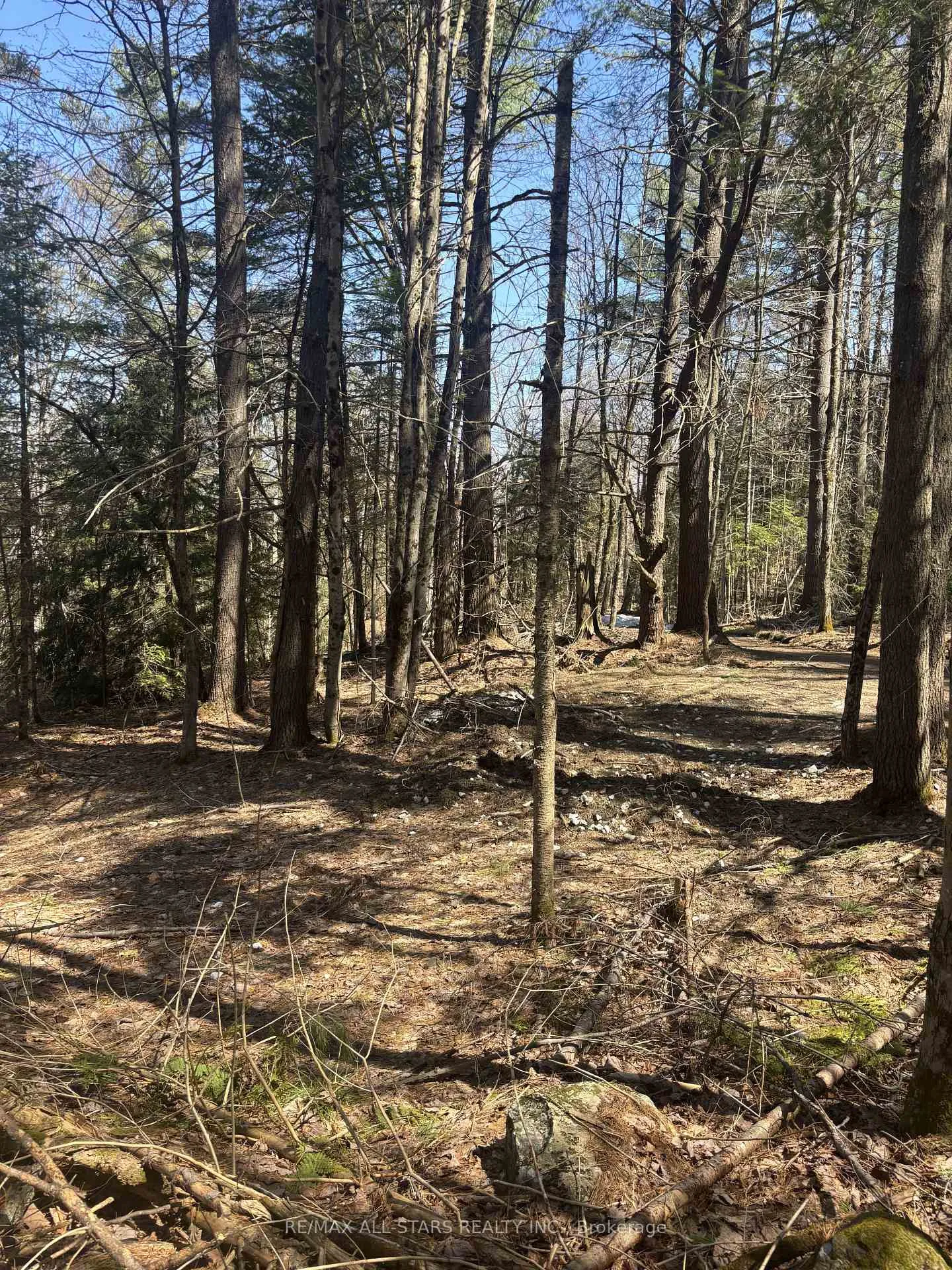 Photo 2 of Kirkpatrick Lane, Bracebridge, Draper — HOMEH