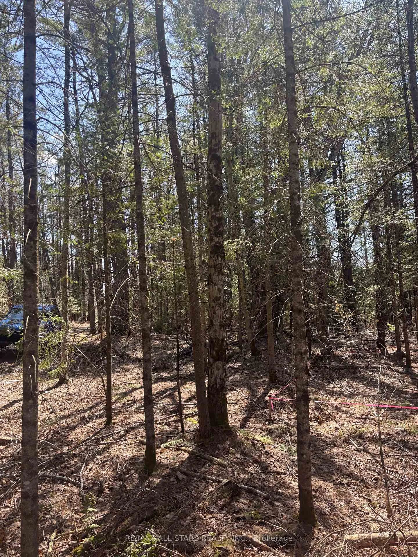 Photo 3 of Kirkpatrick Lane, Bracebridge, Draper — HOMEH