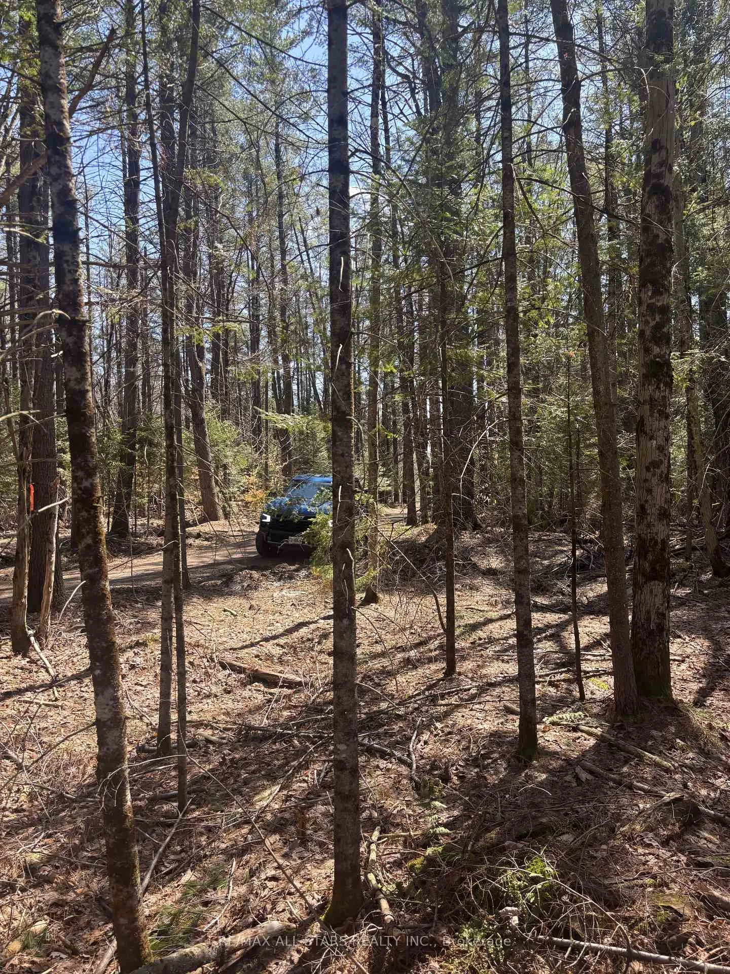 Photo 4 of Kirkpatrick Lane, Bracebridge, Draper — HOMEH