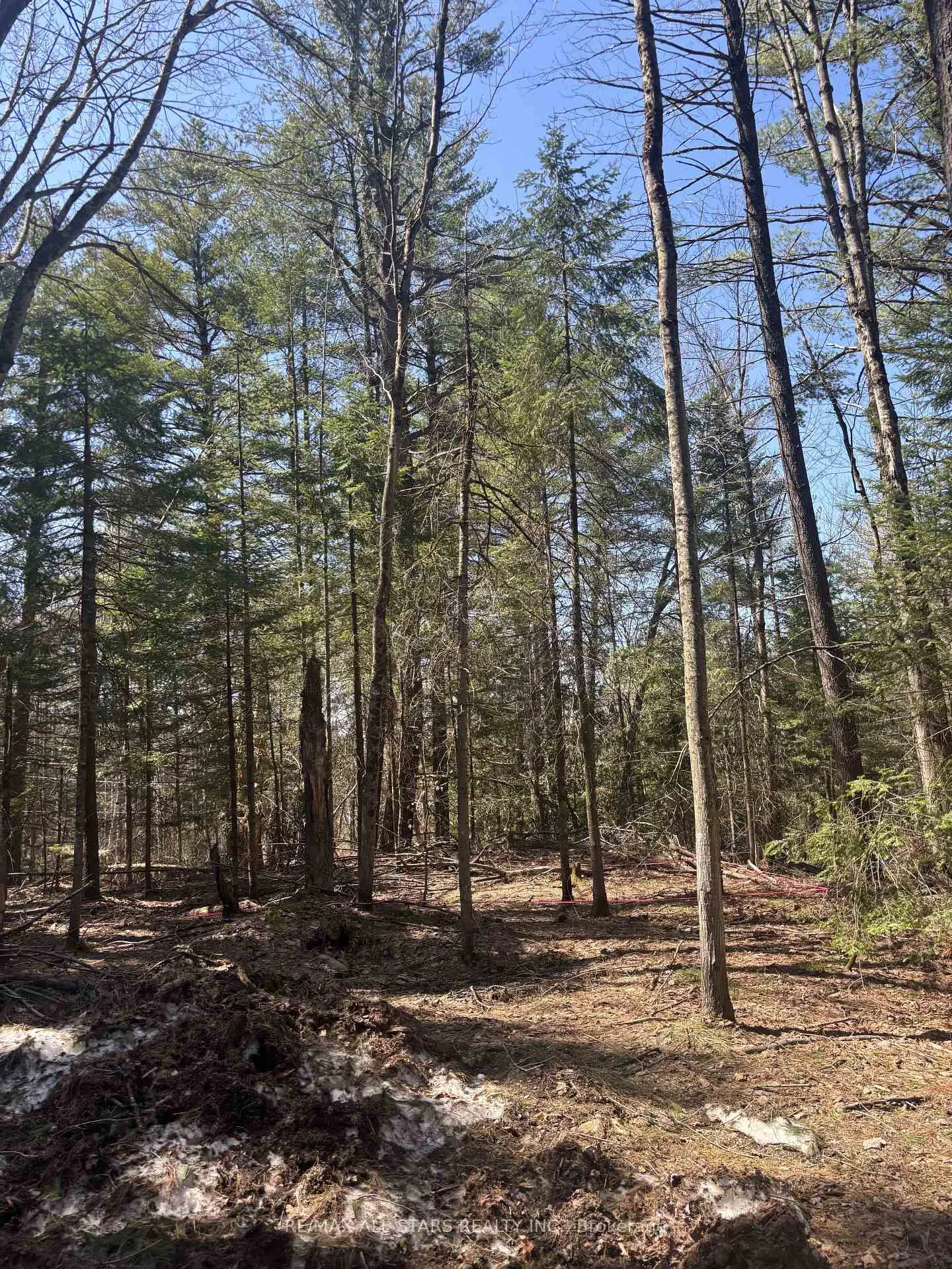 Photo 5 of Kirkpatrick Lane, Bracebridge, Draper — HOMEH