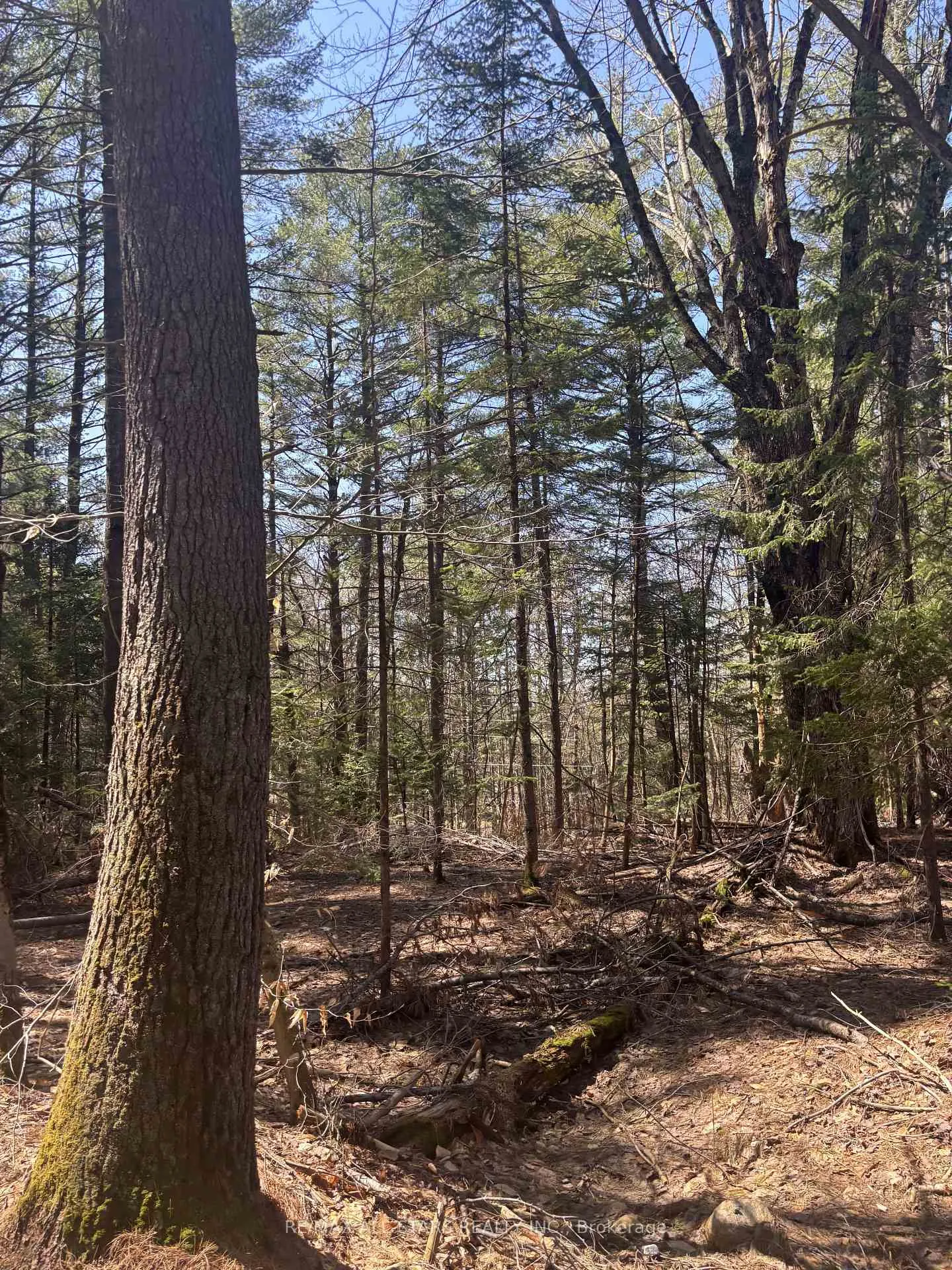 Photo 6 of Kirkpatrick Lane, Bracebridge, Draper — HOMEH