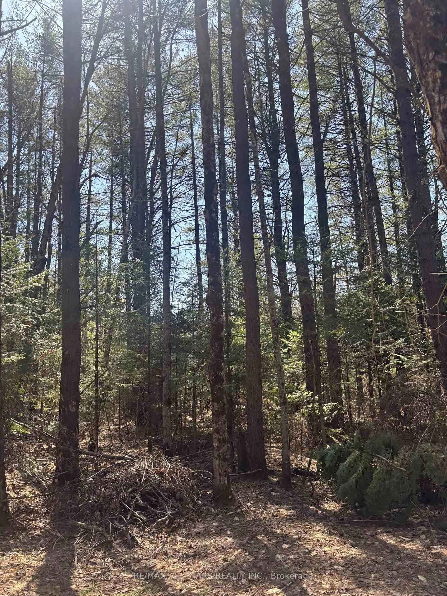 Photo 7 of Kirkpatrick Lane, Bracebridge, Draper — HOMEH
