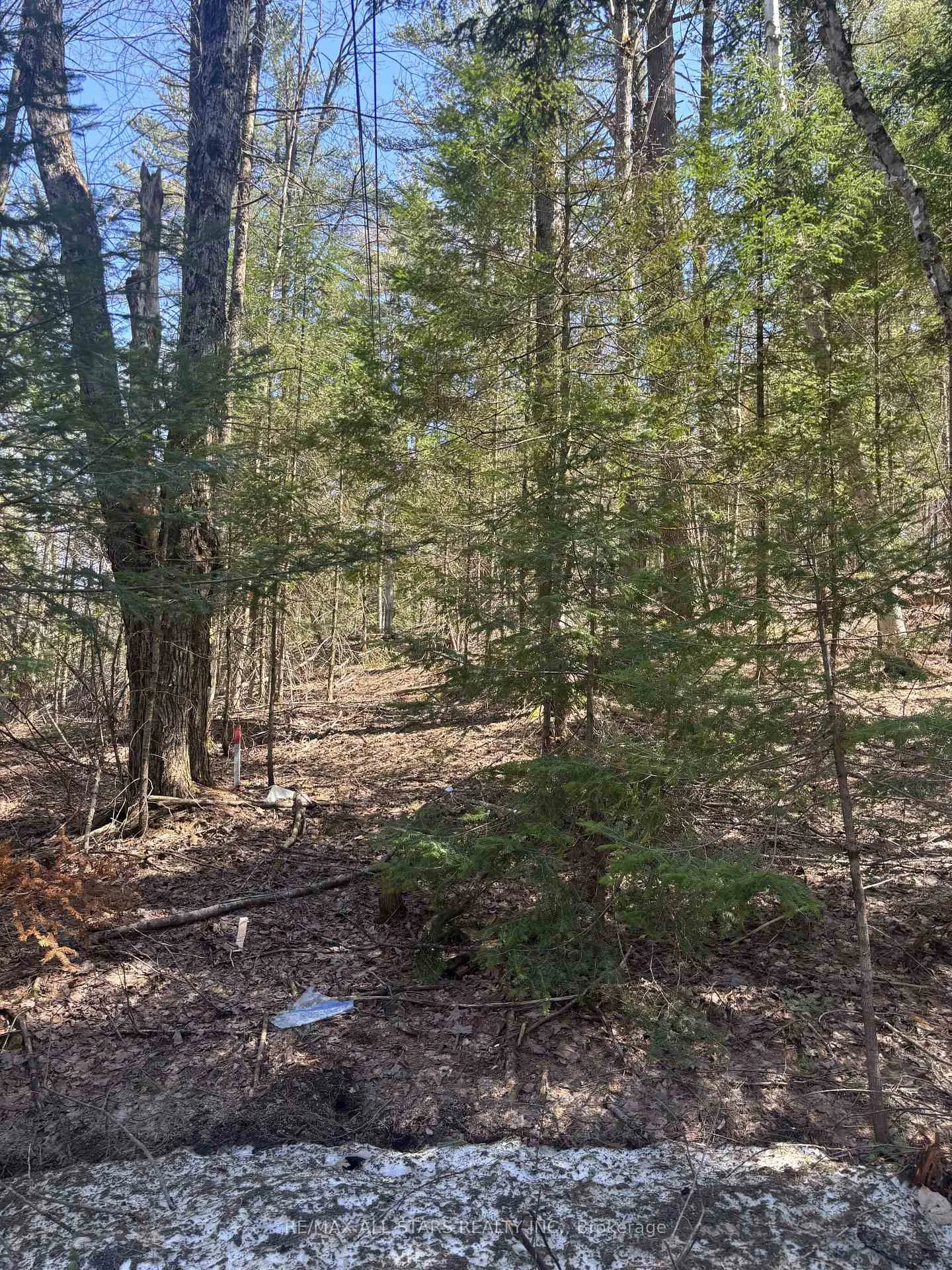 Photo 11 of Kirkpatrick Lane, Bracebridge, Draper — HOMEH