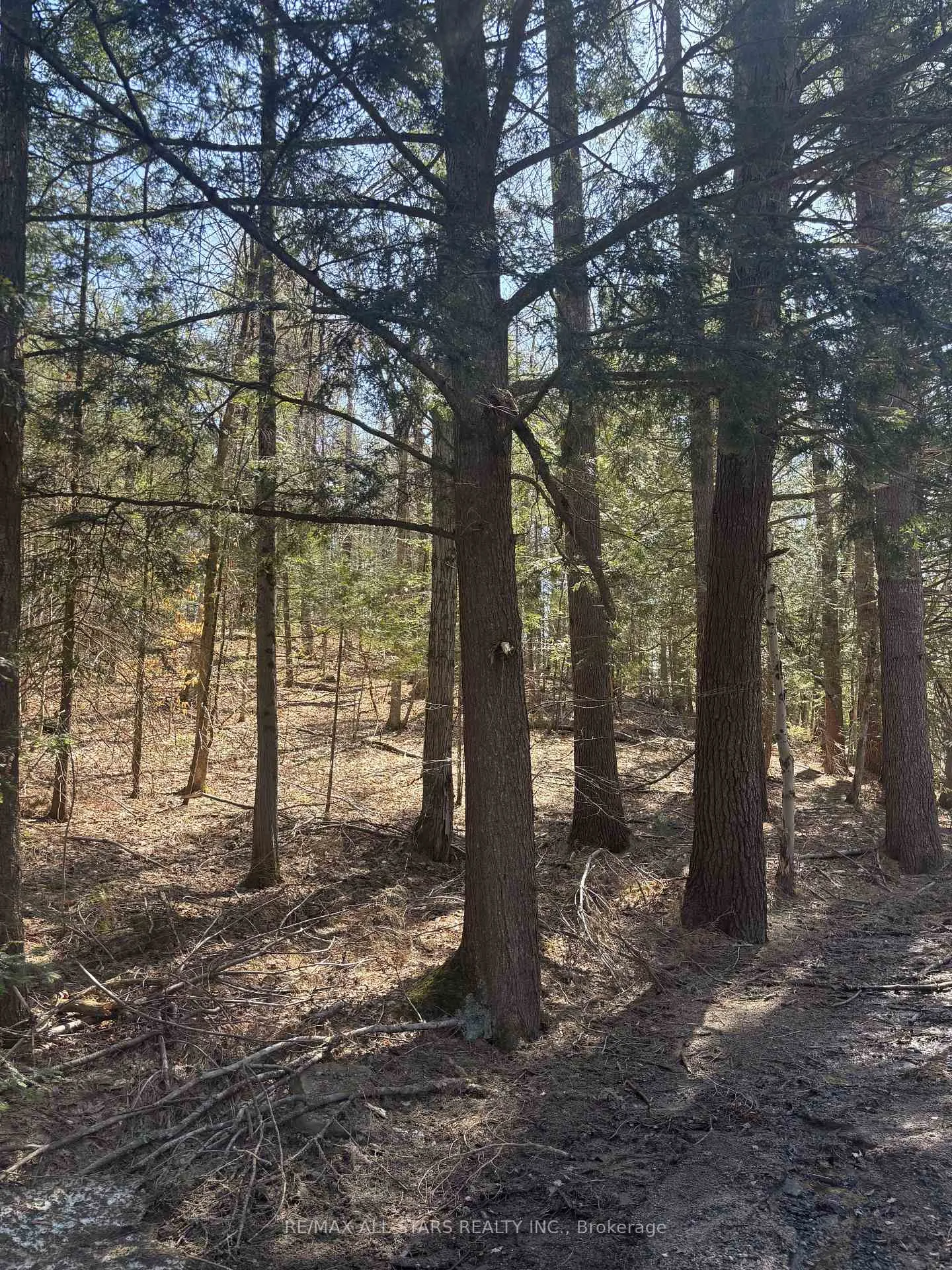 Photo 13 of Kirkpatrick Lane, Bracebridge, Draper — HOMEH